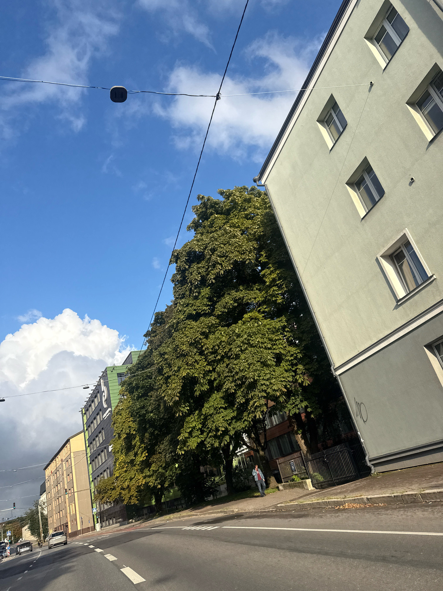The image depicts a street scene in Tallinn, Estonia, on a bright, partly cloudy day. A light grey building with a diagonal facade and several evenly spaced windows dominates the right side of the frame. To the left of this building, a dense green tree with lush foliage stretches upwards. Further left, a row of urban buildings follows the curve of the street. The leftmost building in this row is yellow and appears to be residential, while the one next to it is taller and features a dark facade with green accents, including a logo. The street itself is asphalted with visible lane markings and is occupied by several vehicles. A few people are visible on the sidewalk. The sky above is a vibrant blue, punctuated by white, puffy clouds and crisscrossed by electrical wires and a dangling black light fixture. The overall impression is one of a sunny day in an urban environment.