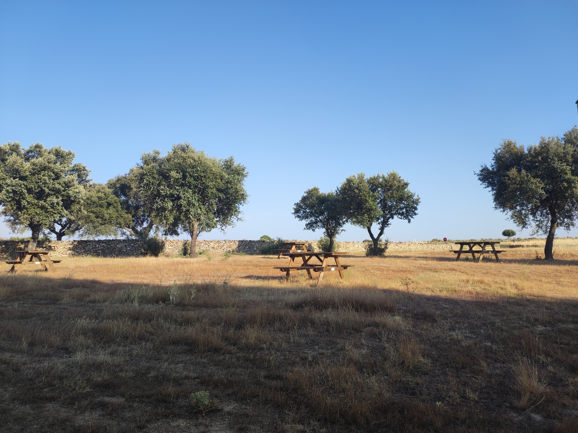 The image shows a clear blue sky above a dry, grassy field with several wooden picnic tables. A low, stone wall runs horizontally across the mid-ground, separating the field from a line of trees. The trees are leafy and appear to be oaks. The picnic tables are weathered and show signs of use. The overall impression is of a rural, outdoor recreational area, likely in a dry climate. The location is specified as Sobradillo, Spain. There are no people or animals visible in the image.