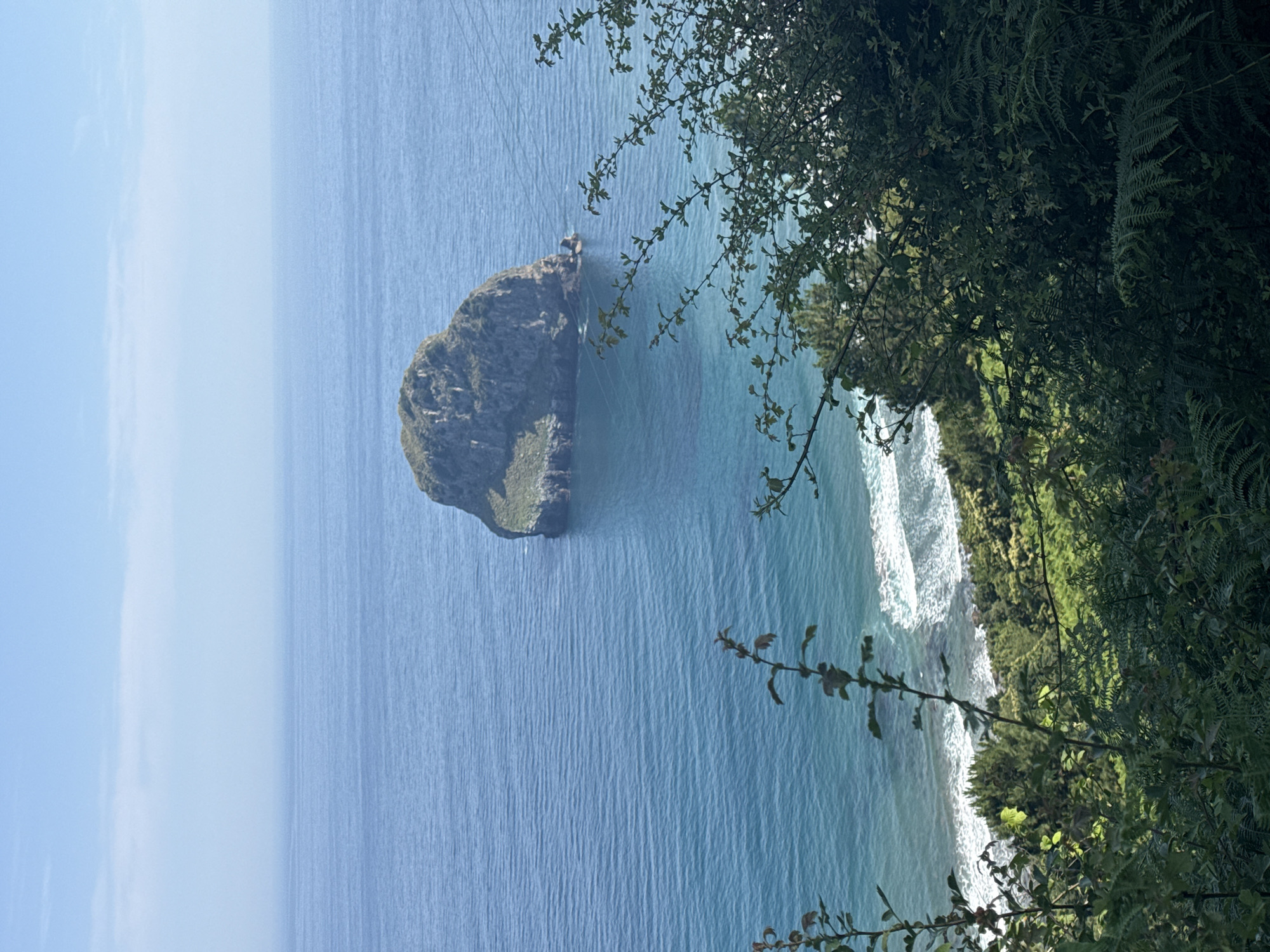 This image captures a scenic coastal view from a hillside overlooking the ocean. In the distance, a large, rocky island covered in vegetation stands prominently in the deep blue water. The sea is calm, with gentle waves lapping at a distant shoreline. The foreground is dominated by lush green foliage, including trees and ferns, creating a natural frame for the seascape. The sky is a clear, bright blue, suggesting a sunny day. This scene is consistent with the natural beauty of the coastline near Bermeo, Spain, known for its rugged terrain and proximity to the Cantabrian Sea.