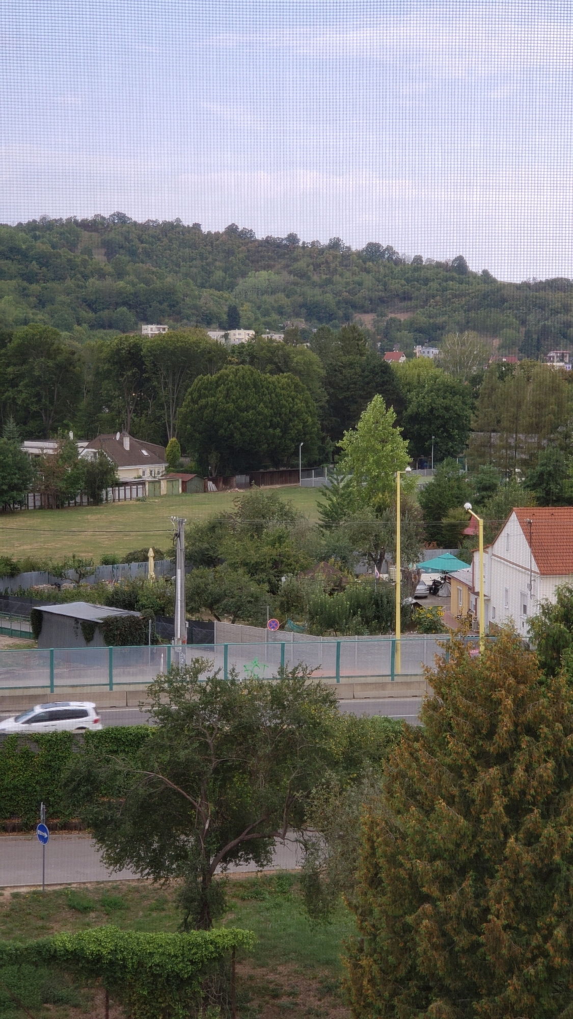 The image captures a suburban landscape with a dense forest in the background, suggesting a location on the outskirts of Prešov, Slovakia, where the city meets natural hilly terrain. The foreground shows a street with a white car driving on the left side of the road. Adjacent to the street is a grassy area bordered by hedges and trees, including a large tree with sparse foliage in the center. A blue directional sign is visible on a pole near the road. Further back, a light-colored fence separates the road from a sports field or park. Several buildings, including houses with red roofs and lighter-colored structures, are scattered throughout the scene amidst trees. A yellow pole with a light fixture stands near a light green canopy covering an area with a car and motorcycle. The overall impression is of a residential area integrated with green spaces and natural surroundings typical of a city like Prešov. The sky above is overcast with thin clouds, and the image is taken through a mesh screen.