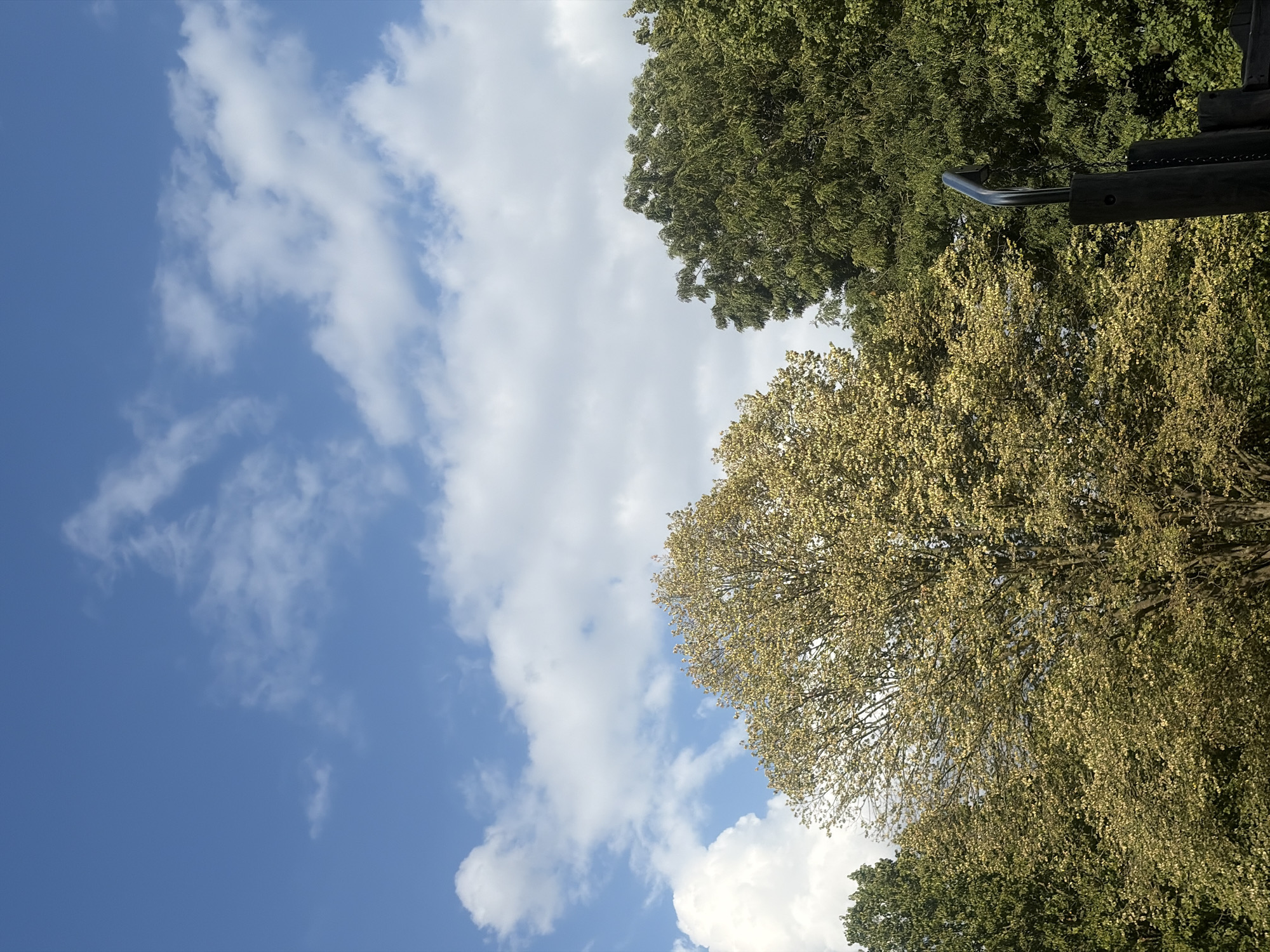 This is a vertical, outdoor, medium shot photograph taken during the day. The upper portion of the frame is dominated by a blue sky with scattered white cumulus clouds. Below the sky, the tops of several trees are visible. On the left, there is a cluster of trees with deep green foliage. To the right of these, a large tree with light yellow-green leaves is prominently featured, its branches and leaves detailed against the sky. Further to the right, another dense tree with dark green leaves is visible. In the lower right corner, a dark, metallic curved bar connected to a wooden post is partially in view, suggesting the presence of a playground structure. The overall lighting suggests a bright, sunny day. The scene appears to be a park or green space within the city of Duisburg, Germany.