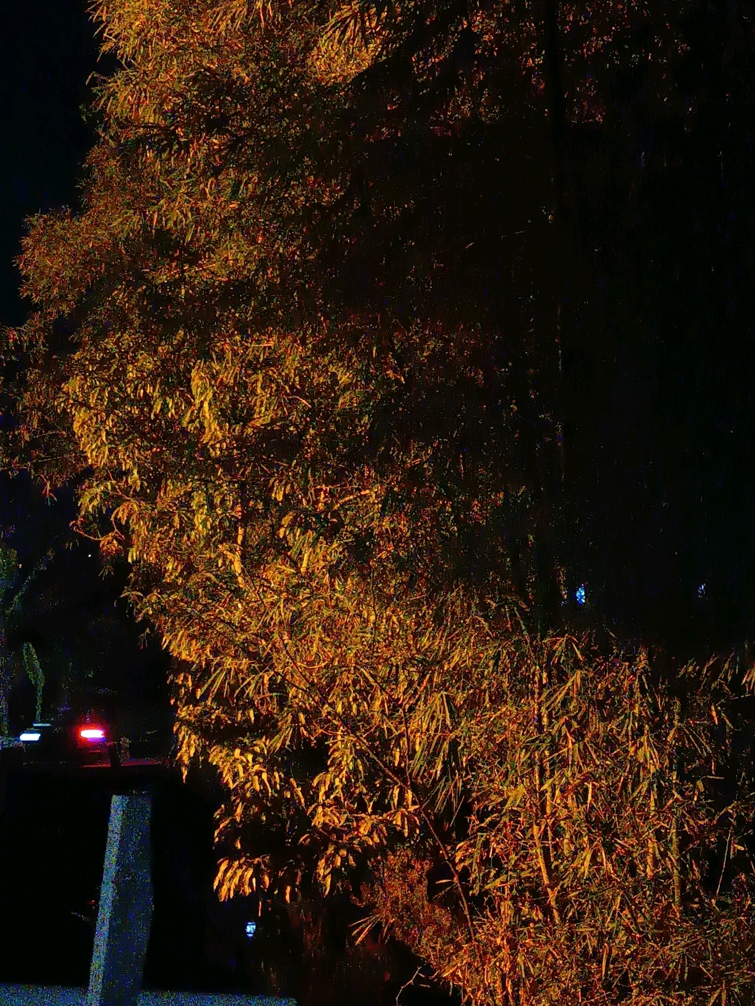 The image shows a dense cluster of bamboo trees illuminated by artificial lights, casting a warm, orange glow on the foliage against a dark night sky. In the lower left, a white concrete structure is visible, possibly a barrier or pillar. To the left of the bamboo, a dark road is present, with faint red and blue lights suggesting passing vehicles. The scene appears to be an outdoor setting within the city of Sumedang, Indonesia, likely along a road or in a park area where bamboo is cultivated. No people are clearly discernible in the image. The overall impression is one of a tranquil, dimly lit natural scene within an urban environment.