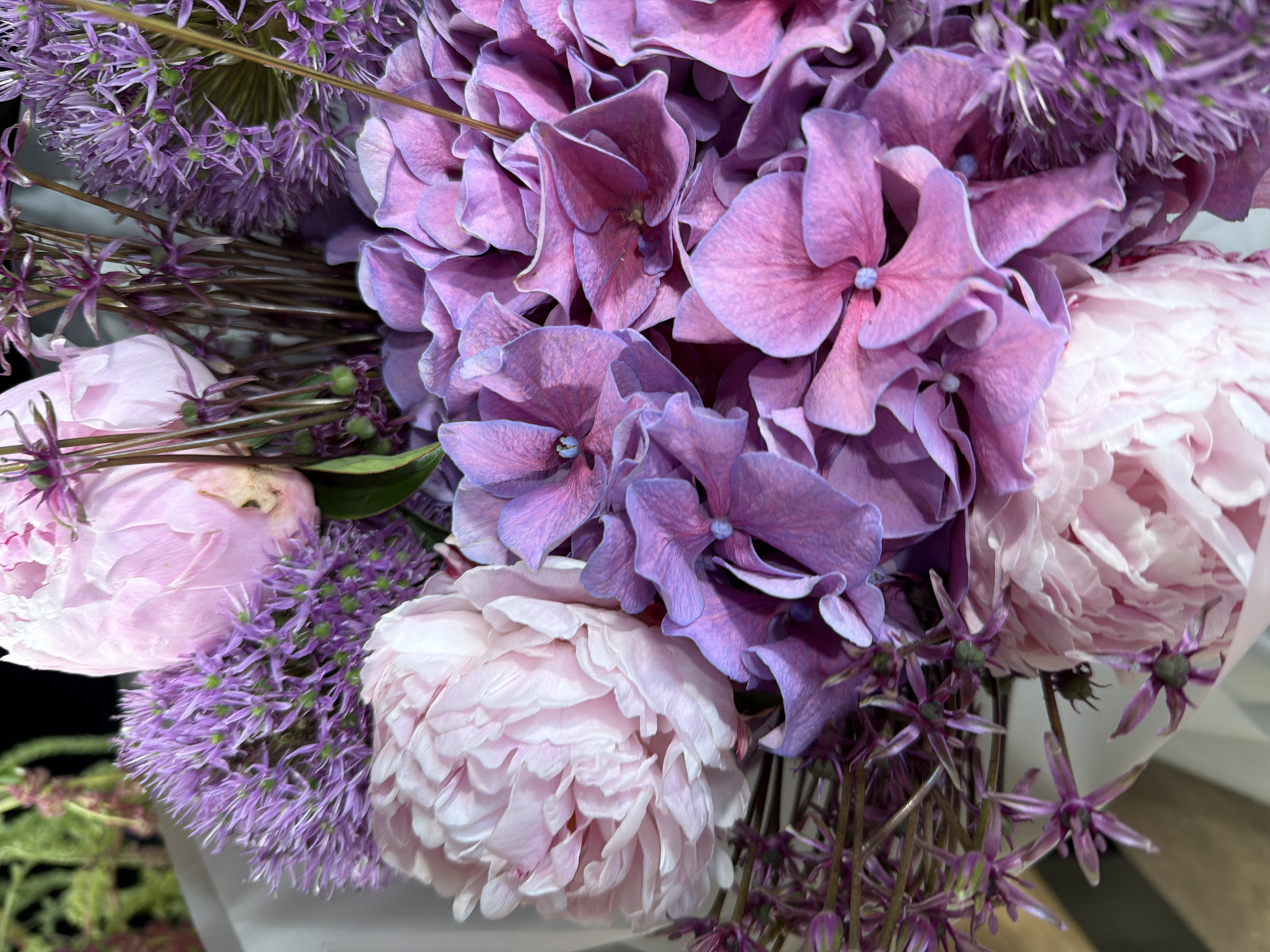 A close-up, overhead shot captures a lush bouquet of pink and purple flowers, predominantly hydrangeas and peonies, intermingled with delicate purple allium blossoms. The petals of the hydrangeas exhibit a gradient of color, transitioning from a soft lavender to a deeper magenta, with some featuring a hint of blue at their centers. The peonies are a pale, delicate pink, with voluminous, layered petals. The allium flowers, with their spherical clusters of tiny star-shaped florets, add a spiky texture and vibrant purple hue. Thin, dark stems crisscross the arrangement, providing structural support. The background is largely indistinct, with hints of green foliage and a dark, possibly black, area on the upper left. The lighting is bright and direct, highlighting the intricate details and rich colors of the flowers. There are no people or animals visible in the image, and the setting appears to be indoors, possibly a studio or a well-lit room, with no specific city or environmental clues to pinpoint a location.