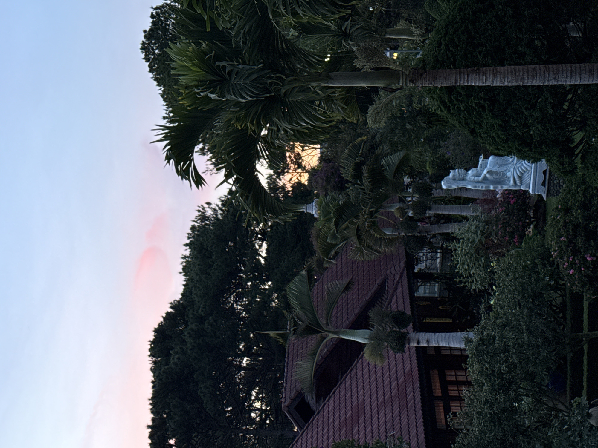 This is a medium shot, full-color photograph taken outdoors at dusk in a garden setting, likely a temple or a Buddhist site, in Da Lat, Vietnam. The sky is a soft gradient of pale blue at the top, transitioning to pink and light orange near the horizon, with a subtle pink cloud formation visible on the left.
In the foreground and middle ground, dense, dark green foliage of various trees and shrubs dominates the scene. Palm trees with their characteristic fronds are prominent, some reaching towards the sky and obscuring parts of the background. A large, white stone statue of a seated figure, possibly a deity or a Buddha, is located on the left side of the middle ground. The statue is intricate, showing details of flowing robes and a headdress. It is positioned on a stone base amidst the greenery.
On the left side of the image, a building with a dark red, tiled roof is visible. The roof has multiple gables and sections. Portions of the building's dark-colored walls and windows are also visible, suggesting it is an enclosed structure with interior lighting creating a warm glow from within.
The overall atmosphere is serene and tranquil, characteristic of a peaceful garden setting at the end of the day. The image is sharp and well-exposed, capturing the details of the landscape and the statue clearly. No people are visible in the frame. The location appears to be a well-maintained garden with a significant architectural element in the form of the statue and the building.