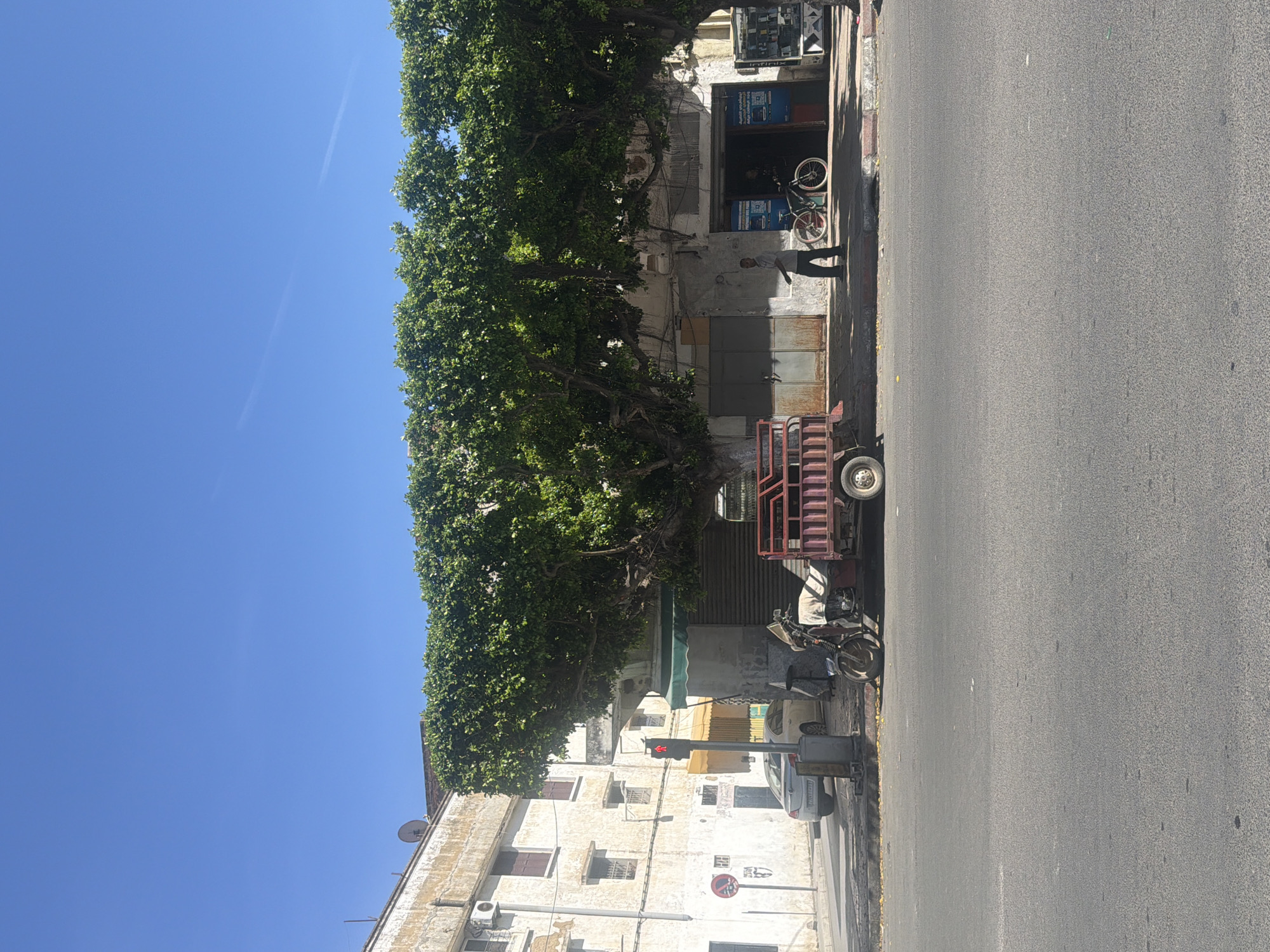 The image captures a street scene in Kenitra, Morocco on a sunny day. The view is primarily of a tree-lined street with buildings of different styles lining one side. The buildings have a weathered appearance. Parked along the curb are a motorcycle, a small red wagon, and possibly other vehicles. A traffic light is visible at an intersection. A person is walking towards the curb.