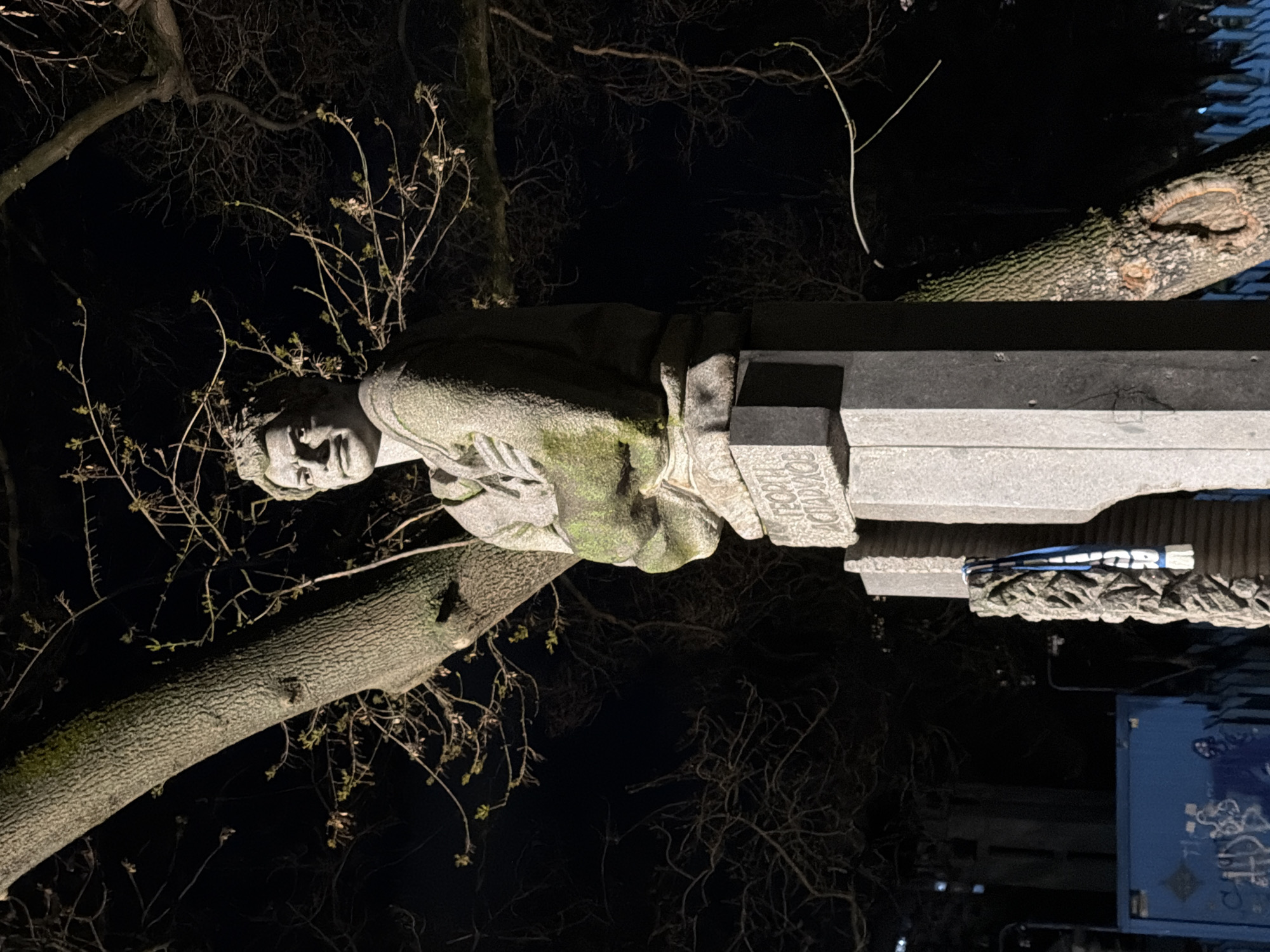 Captured at night, the image features a stone monument, likely a statue, positioned amid tree branches against a dark backdrop. The statue depicts a human figure, potentially a historical or cultural figure, with detailed facial features. The monument sits atop a stone base with inscriptions. The surrounding environment includes bare tree branches and a dark night sky. Based on the location and architectural style, it is highly probable that the photo was taken in the city of Sofia, Bulgaria, known for its monuments and statues. Additional architectural elements or urban features are faintly visible in the background.