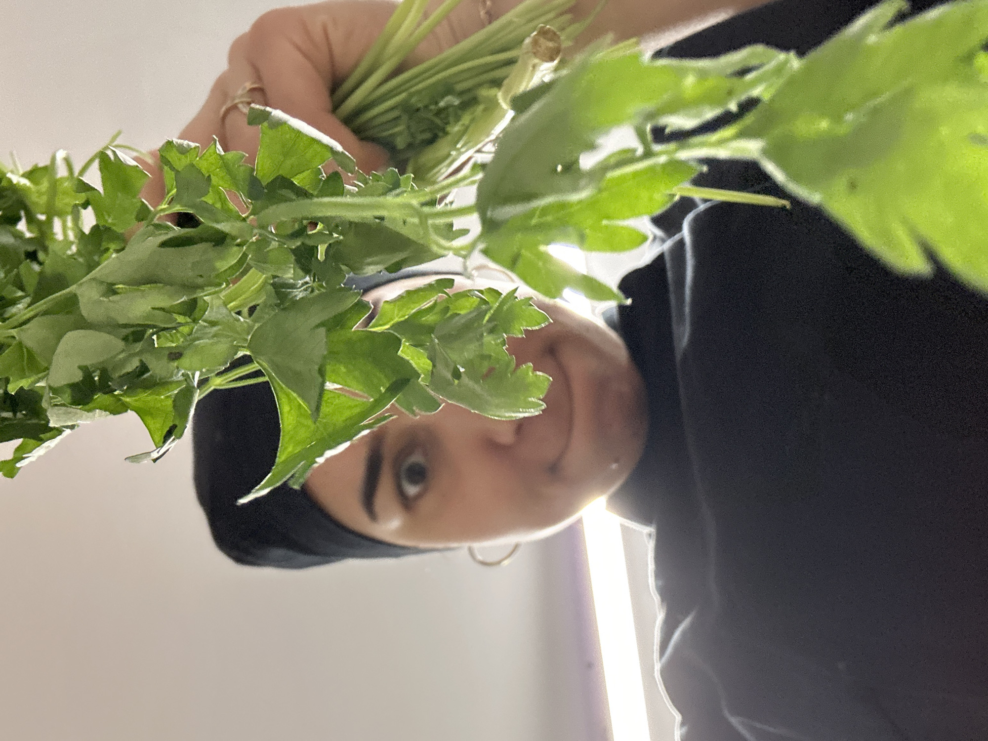 A person wearing a black headscarf and a black top is holding a bunch of green leafy herbs (possibly parsley) toward the camera. The viewpoint is from below, looking up at the person. The background is a light wall with a vertical light strip to the right of the person. The location is unknown and cannot be identified from the image, and it cannot be determined from the image if the city is Burgas, Bulgaria.