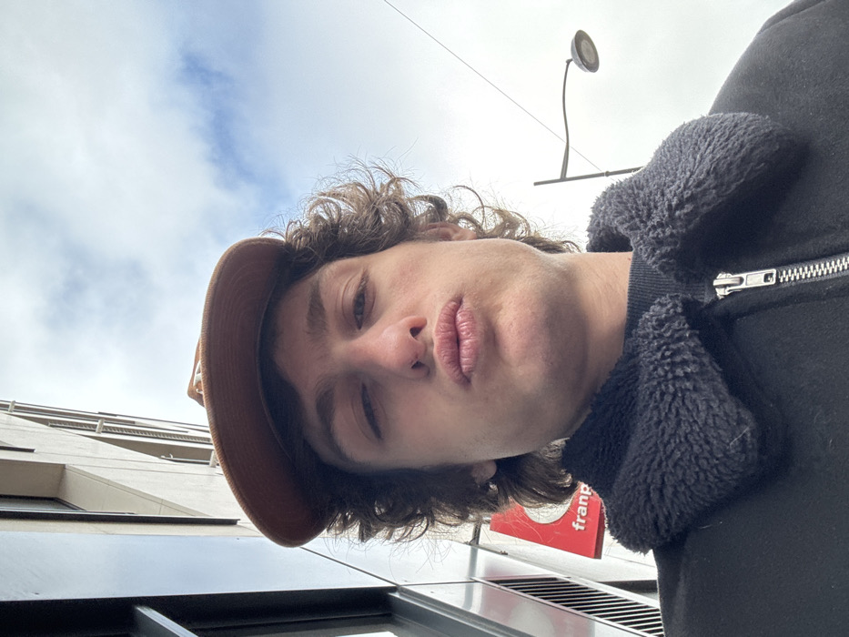 The image presents a low-angle selfie of a young adult male outdoors in Joinville-le-Pont, France. The subject has brown, curly hair and is wearing a brown baseball cap with the brim facing forward. He is dressed in a dark jacket featuring a black faux shearling collar and a visible silver zipper. His face is directed towards the camera with his lips pursed. To the left of the subject, a light-colored building with vertical architectural elements is partially visible, alongside a red sign showing the partial text "franp", indicative of a Franprix supermarket. To the right, a dark streetlamp with a single light fixture extends against a sky exhibiting overcast or partly cloudy conditions.