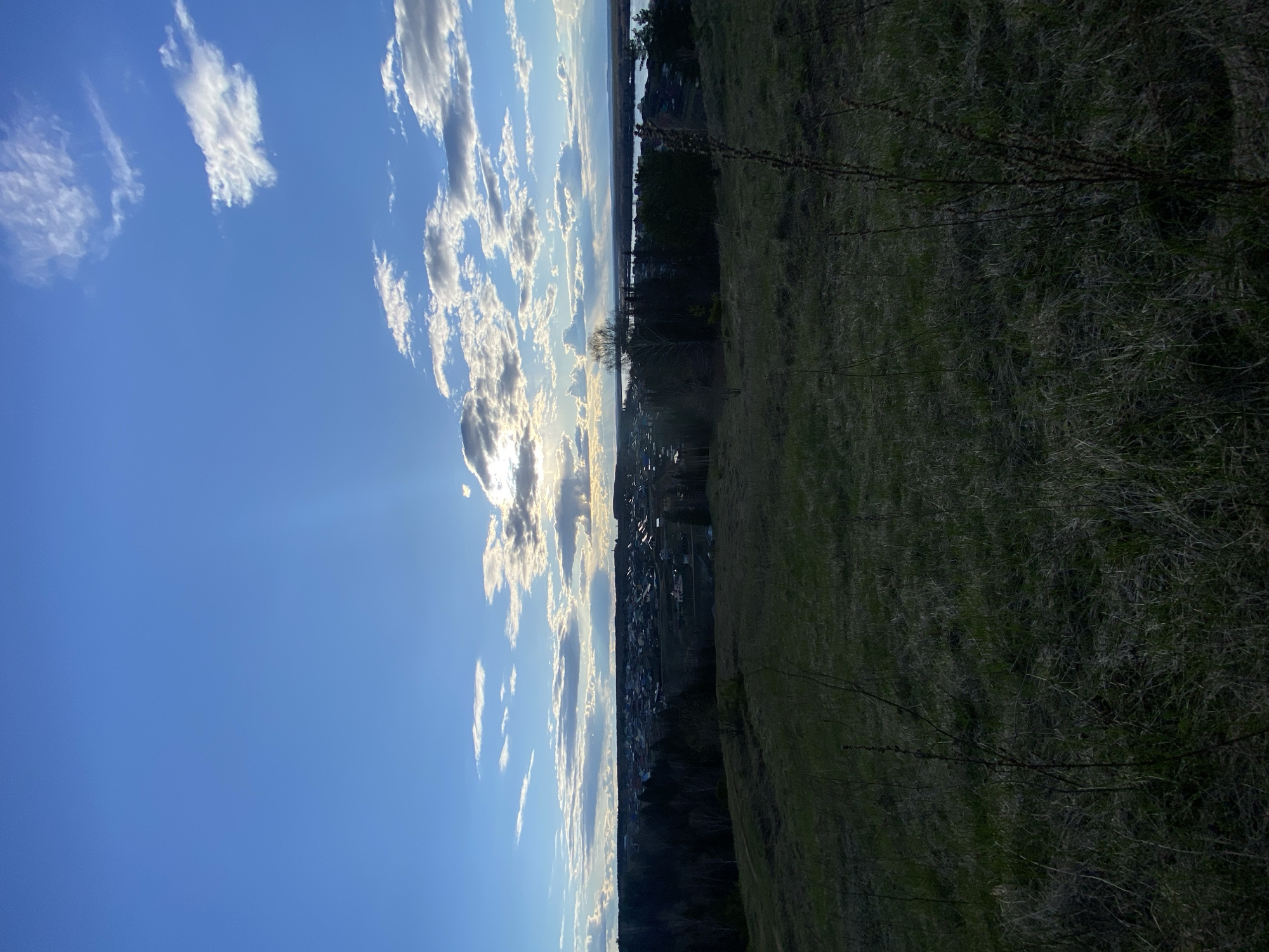 A panoramic landscape captures a wide vista under a bright sky, likely during sunrise or sunset, given the quality of light. The image is divided horizontally into distinct layers.
The upper portion, comprising about two-thirds of the frame, features a clear, vivid blue sky dotted with scattered cumulus clouds. Along the horizon line, the clouds are brightly illuminated from behind by the low sun, creating a radiant glow and shafts of light (crepuscular rays) beaming through the cloud cover. Further up, the sky is mostly clear with a few wispy clouds.
The midground reveals a distant horizon line. A large body of water, possibly a lake or river, stretches across, with a faint line of land or trees visible on its far bank. Below this, a cluster of buildings indicates a distant town or settlement, nestled amidst darker patches of trees or foliage.
The foreground, occupying roughly the bottom third to half of the image on the right, consists of a gently sloping hillside covered in dry, brownish-green grass. The area appears to be in shadow, contrasting with the brightness of the sky. Sparse, thorny branches or bushes are visible within the grassy expanse, particularly towards the right side of the frame.
There are no people or specific activities taking place. No visible text is present. The scene conveys a sense of peaceful natural beauty and vastness.