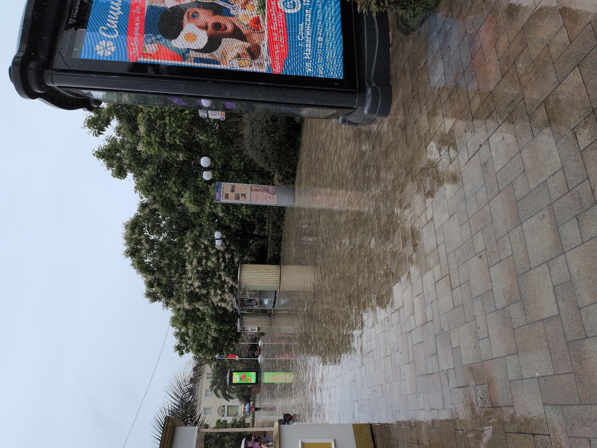 This is a vertical, eye-level, full-shot photograph of a wet paved walkway in Sochi, Russia, on a cloudy day. The walkway is made of rectangular stone pavers arranged in a pattern of alternating orientations. The pavers are wet, reflecting the overcast sky and surrounding elements, indicating recent rainfall. To the right, a large, black digital advertising kiosk displays a vibrant advertisement featuring a person with an egg on their head and text in Russian. The kiosk is tall and has a curved top. To the left of the walkway, a building with white and yellow facade is visible, with a palm tree in front of it. Further down the walkway, several small, light-colored kiosks are lined up. In the background, lush green trees with white flowers are abundant, and two streetlights with spherical globes are mounted on poles. A few individuals are walking on the wet walkway, one holding a pink umbrella. The overall atmosphere is subdued due to the weather and the wet conditions. The advertisement on the kiosk can be partially read and mentions "Sochi" and an address that appears to be "Navaginskaya, 11."