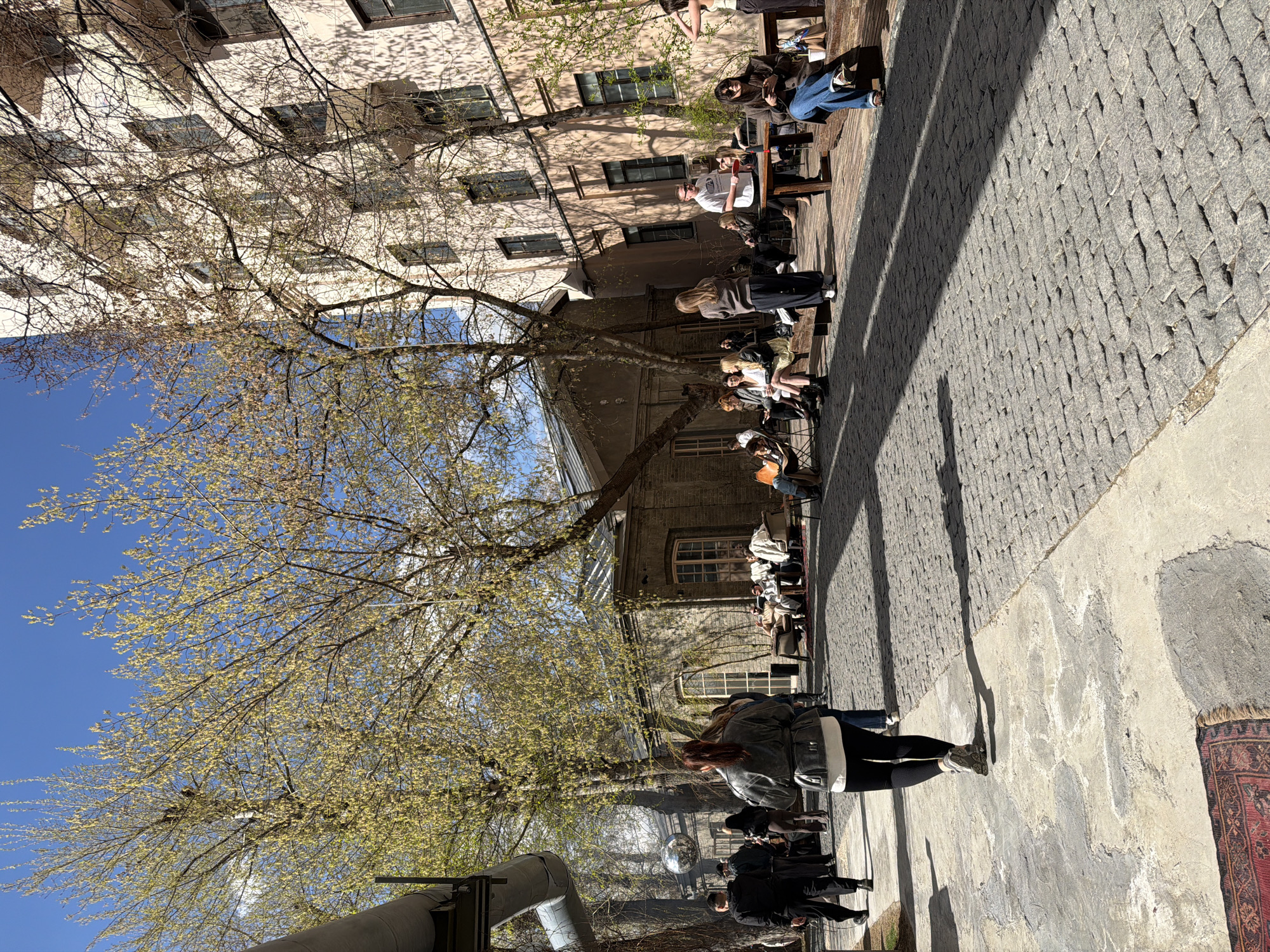 Here is a description of the image:
The image captures an outdoor urban scene. A group of people are seated at tables in a courtyard. There is a cobblestone pavement to the right of the tables. A large tree with leaves starting to grow stands in the center. Buildings with windows can be seen in the background. People are dressed in casual clothing. The image is rotated 90 degrees. Given the architecture and context, the location is likely Moscow, Russia.