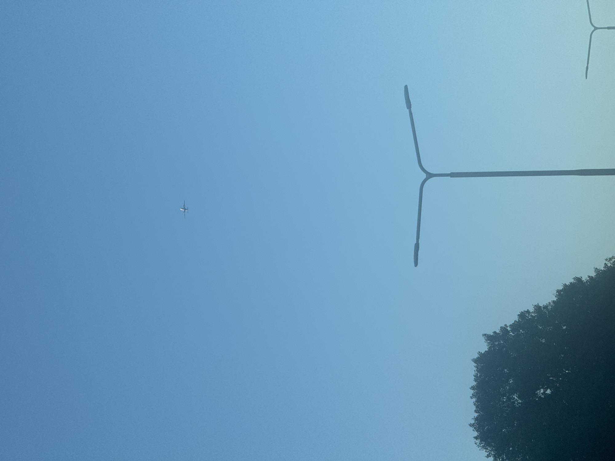 An airplane is visible in the upper portion of the clear blue sky. In the lower portion of the image, two streetlights are present, one larger than the other. A dark silhouette of a tree is on the left side of the frame.