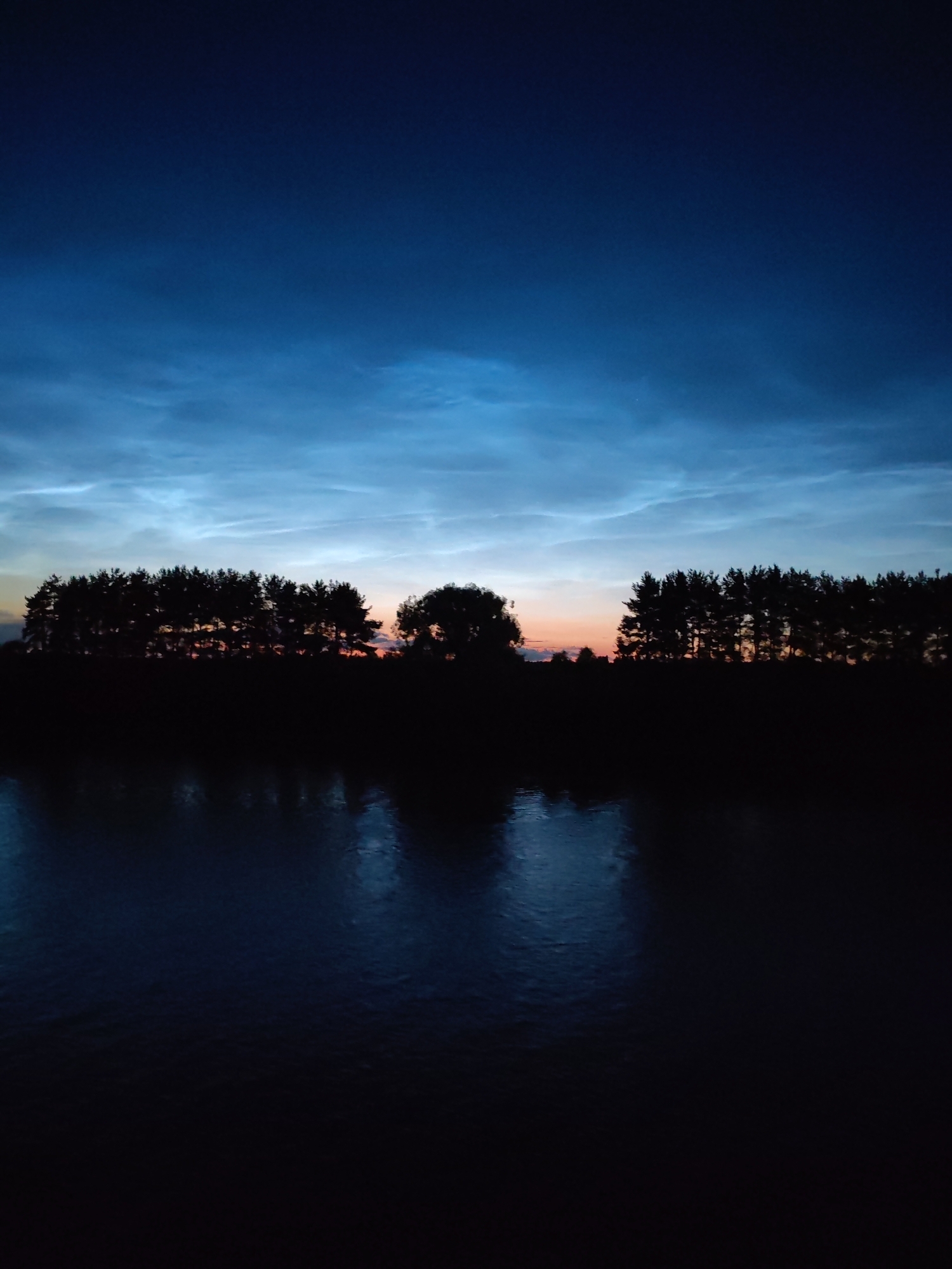 The image depicts a silhouetted landscape at twilight. A dark body of water occupies the foreground, reflecting a muted, textured light. Beyond the water, a dense line of trees is silhouetted against a gradient sky. The sky transitions from a deep indigo at the top to lighter blues and oranges near the horizon, with luminous, wispy clouds illuminated from below. The trees are varied in height and density, forming an irregular treeline. A solitary, broader tree stands slightly apart from the main group. The scene appears to be a natural environment, possibly a lake or riverbank, with no visible human presence. The overall atmosphere is serene and nocturnal. The location is identified as Bol'shie Mkhi, Russia.