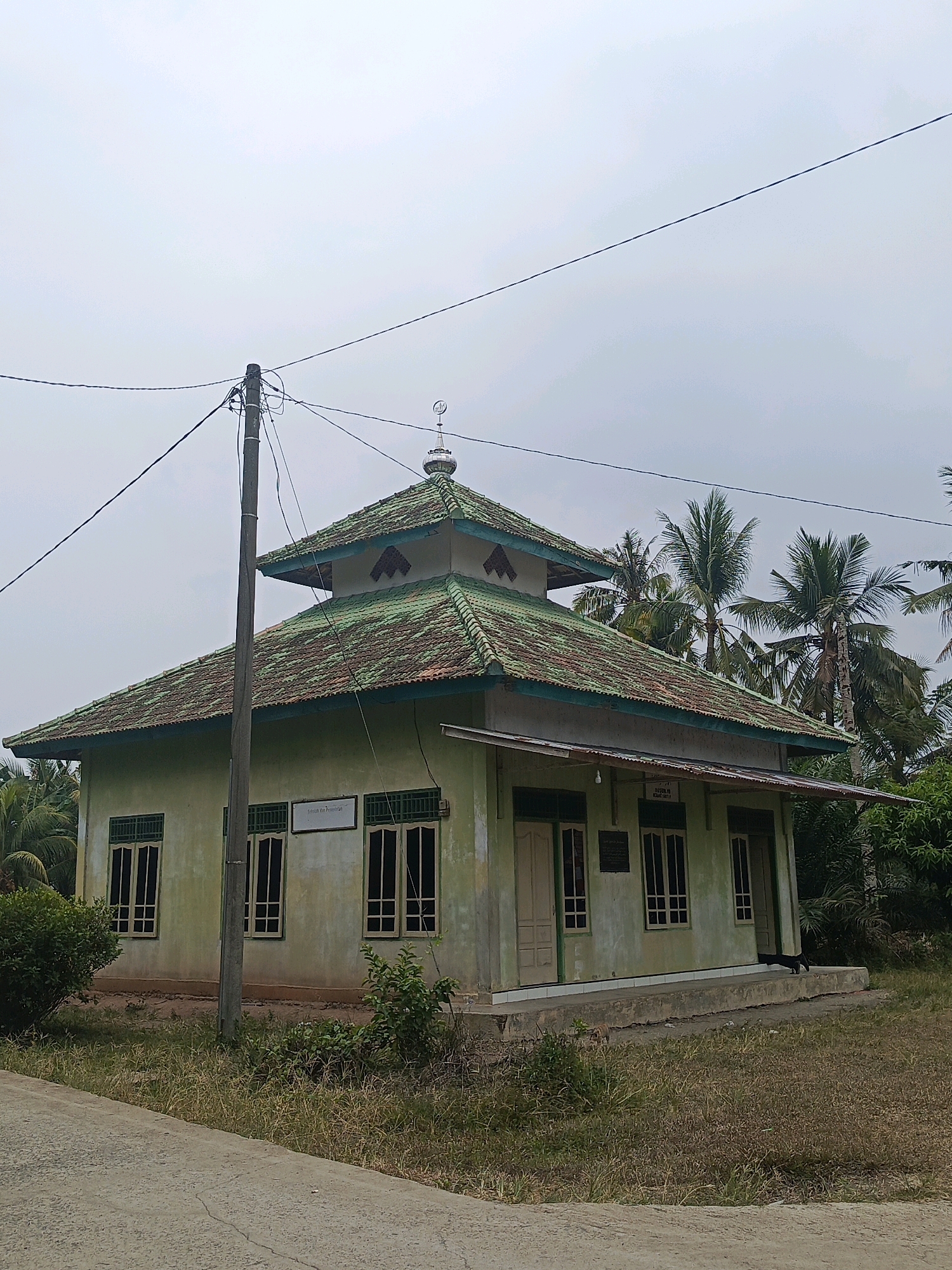 The image shows a mosque in Megang Sakti V, Indonesia. The mosque is a light green building with a multi-tiered green tiled roof. It has several windows with dark green frames and a white trim around the base. A dark figure, possibly a cat, is visible on the concrete steps in front of the mosque. The building is surrounded by vegetation, including palm trees and bushes. A power pole with several wires is prominent in the foreground, to the left of the mosque. The sky is overcast.