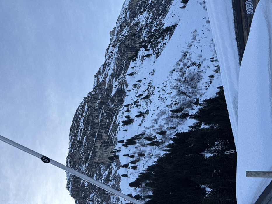 The image displays a snow-covered mountainous landscape in Courchevel, France, under a clear, light blue sky. A metallic pole with a circular marker displaying "183" traverses the upper left quadrant diagonally. In the background, a large, rugged mountain rises, exhibiting exposed rock strata and extensive snow coverage, with scattered evergreen and deciduous trees on its slopes. The midground consists of a steep, snow-covered incline sparsely populated with both dark evergreen and bare deciduous trees. A small, light-colored ladder is visible upright against the treeline on the lower left side of the midground. The foreground reveals a structure, likely a building roof, heavily laden with snow, with partial numbering "2190" visible on an underlying brown surface. No individuals, actions, or interactions are discernible within the scene.