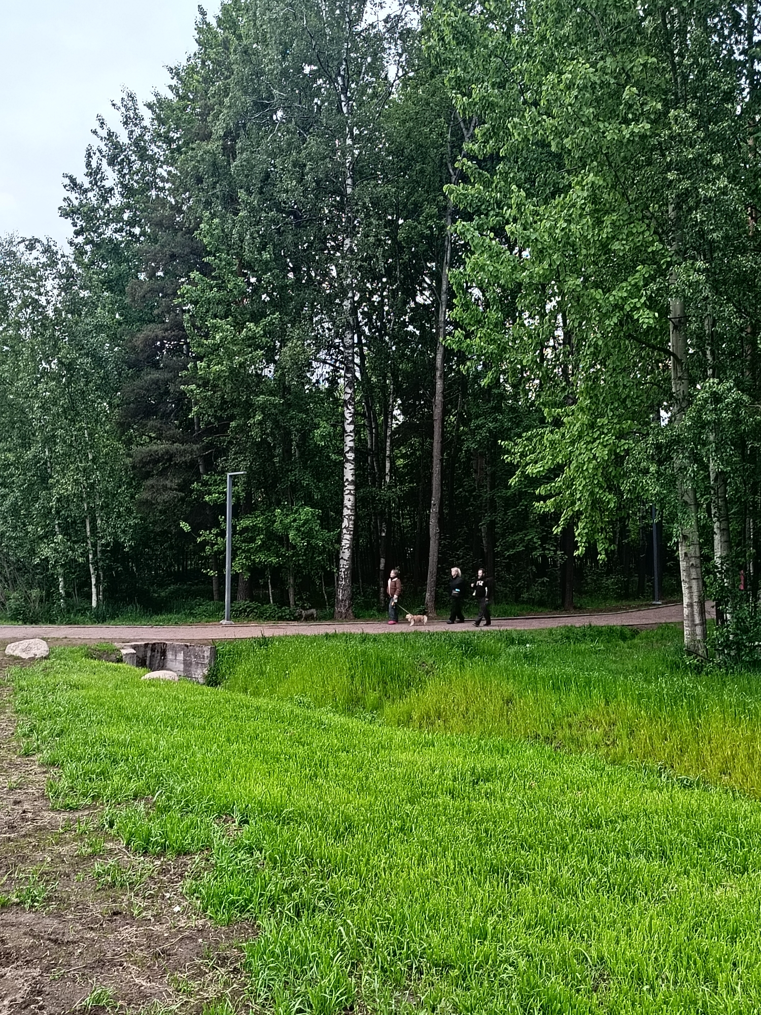 The photograph shows a park scene. In the background, a paved path stretches horizontally, flanked by trees. Three individuals are walking along the path, one with a dog. The foreground features a patch of lush, green grass. To the left of the grass is a dirt path. A short concrete bridge with two rocks is positioned on the left side of the paved path. A light post can be seen near the road. The scene gives the impression of a quiet, natural environment with people enjoying a walk. The photograph was taken in the city of Unknown, Unknown.