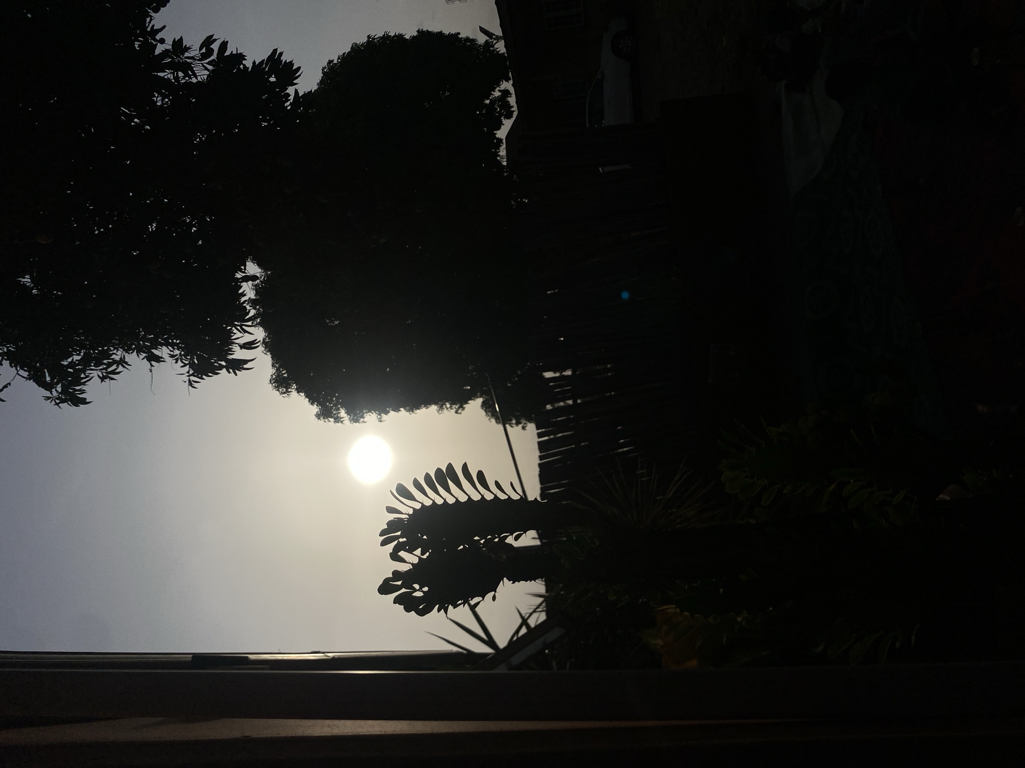 The image appears to be taken in Barden Yana, Nigeria looking upward. The view is partially obscured by silhouetted trees and foliage. The sun is visible through the branches, creating a bright spot in the sky. A portion of a building is visible. The image is underexposed. No people are visible.