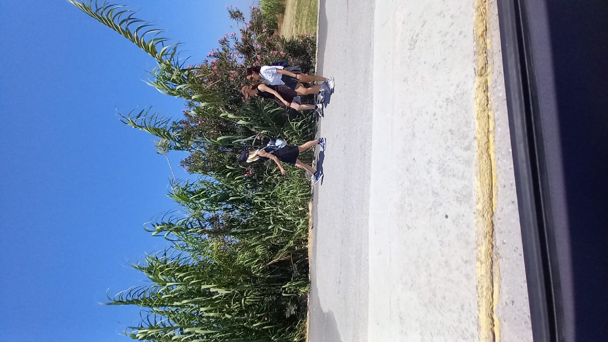 Three individuals are walking along a paved path adjacent to lush green vegetation and flowering bushes under a clear blue sky. The person in the foreground, on the left, is a woman with blonde hair wearing a black dress, a black cap, and blue athletic shoes, carrying a backpack. She is in mid-stride, walking from left to right. To her right, two other individuals are walking in the same direction. The middle person appears to be a woman wearing a dark-colored outfit and a brown hat, with a backpack. The person on the right is wearing a white t-shirt and dark shorts, also with a backpack. The path has a textured yellow line marking its edge. The vegetation consists of tall, leafy plants and bushes with pink flowers. The scene suggests an outdoor environment in a place like Ηρακλής, Greece, possibly a park or a coastal area given the bright sunlight and clear sky.