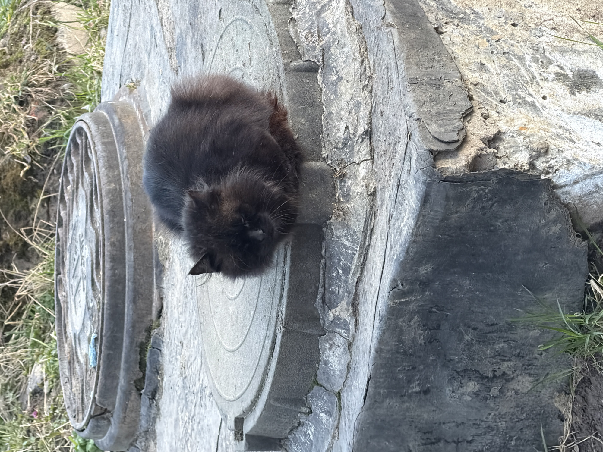 A black cat is resting on a circular concrete structure, possibly a manhole cover, located in an outdoor environment. The structure exhibits concentric ring patterns and is weathered. To the left, another similar structure is partially visible. To the right of the cat, a darker, more amorphous material is present, possibly a section of another structure or debris. Patches of grass and sparse vegetation are seen along the edges of the scene, suggesting an outdoor or roadside setting. The location is Lavriki, Russia, based on the prompt.