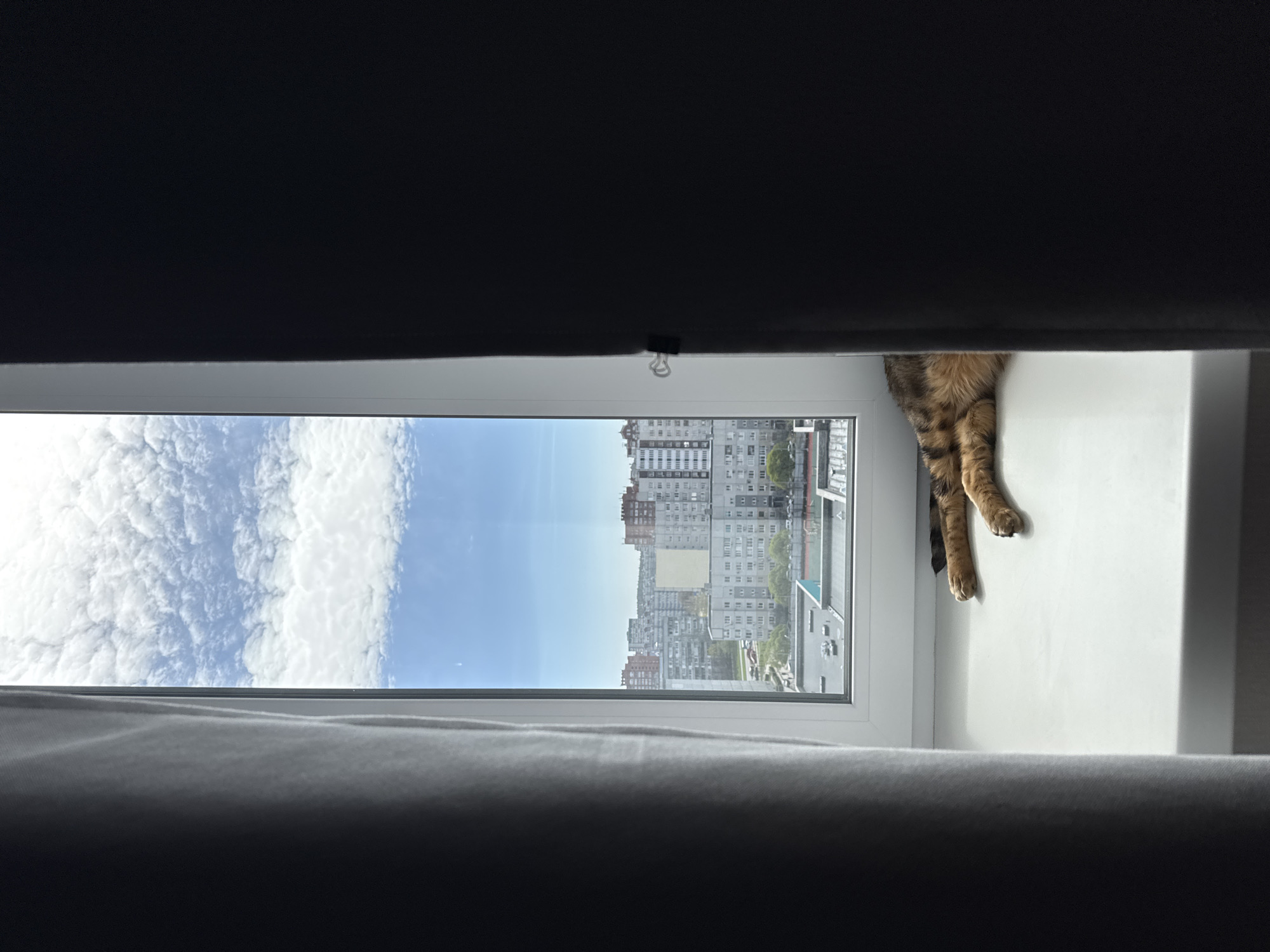 A view from inside a room looking out through a window. Curtains are partially obscuring the top and bottom of the view. Outside, the sky is visible with white clouds and blue sky on the left side. The right side of the window reveals a cityscape with multiple buildings of varying heights and colors. A cat's paws are visible resting on the white windowsill on the right side.