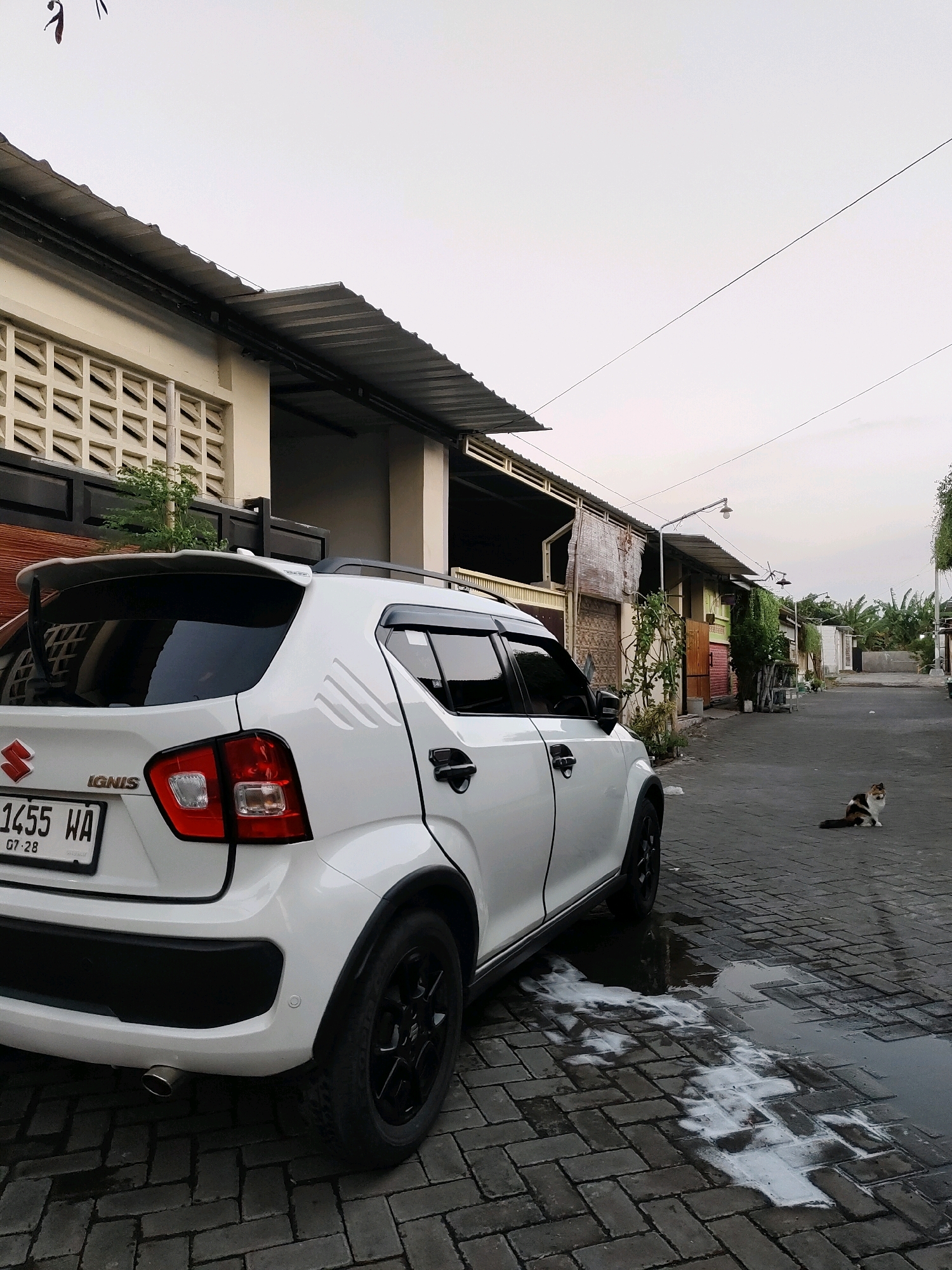A white Suzuki Ignis car is parked on a brick-paved street in a residential area. The car is facing away from the camera, with its rear on the left side of the frame. A small, calico cat is sitting on the street to the right of the car. The street is lined with buildings that appear to be shops or residences. The sky is overcast, suggesting it is either early morning or late afternoon. There is a spill of white liquid on the ground near the car. The scene appears to be in the city of Probolinggo, Indonesia.