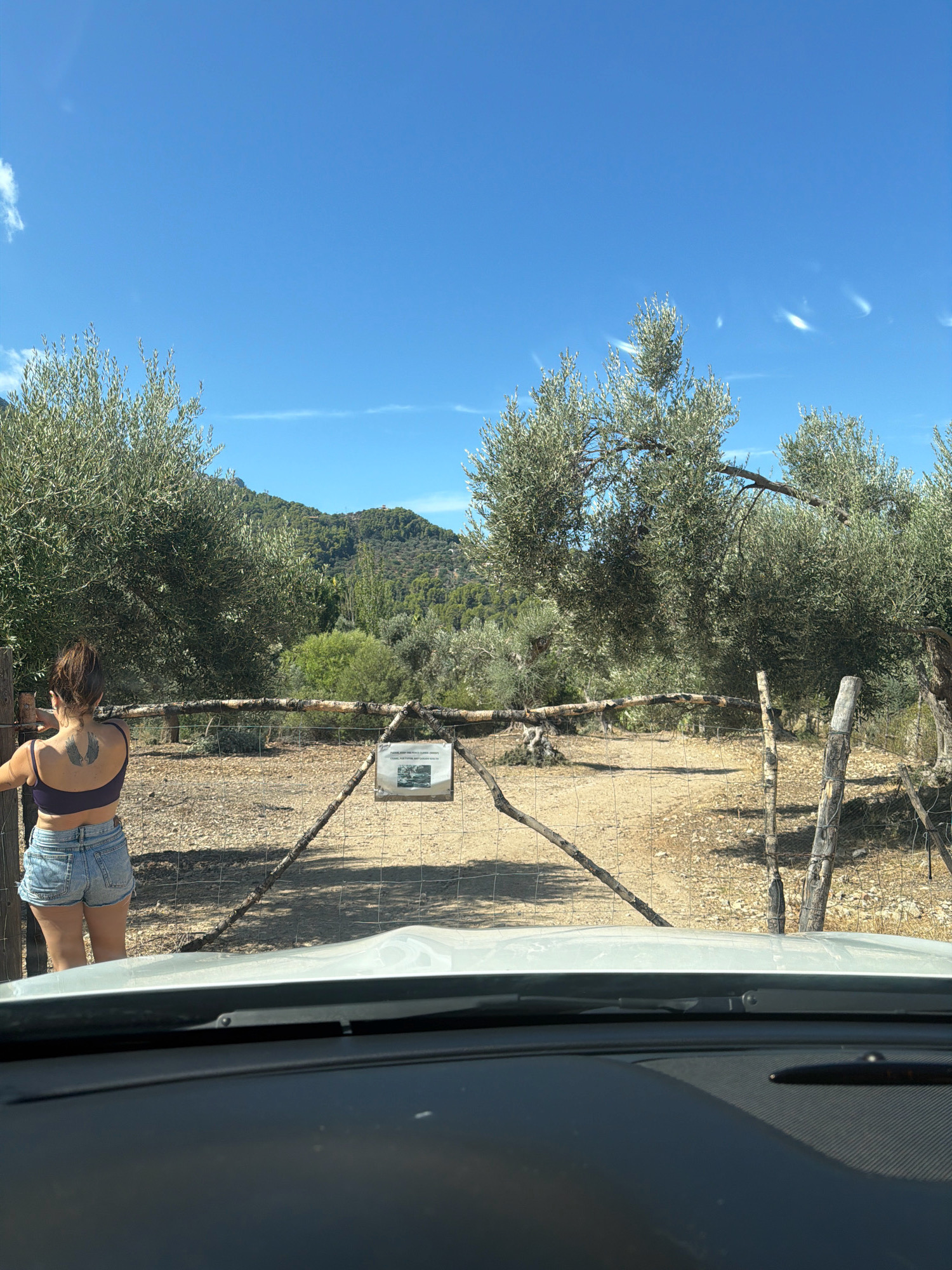 In Estellencs, Spain, a woman stands with her back to the camera, wearing a dark purple bralette and denim shorts. Her hair is pulled up, and she has a large wing tattoo on her upper back. She is standing behind a rustic wire fence with rough wooden posts and branches. The fence encloses a dry, dusty area with scattered rocks and dry grass. In the background, numerous olive trees with gnarled trunks and silvery-green leaves create a dense grove. Beyond the trees, rolling hills covered in vegetation rise towards a clear blue sky with a few wispy white clouds. A sign with text and an image is attached to the fence. The foreground shows the top of a car's dashboard and windshield, suggesting the photo was taken from inside a vehicle. The overall scene depicts a natural, rustic environment under bright sunlight.