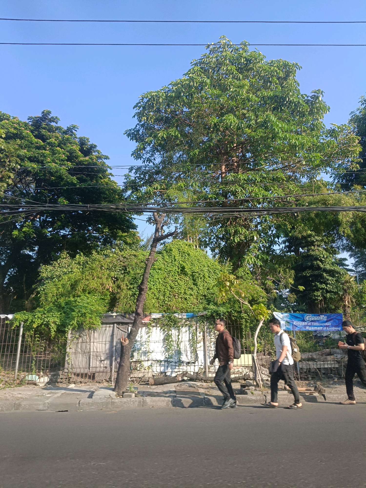 The image shows three young men walking on a sidewalk next to a road in what appears to be a commercial or residential area of Surabaya, Indonesia. The sky is clear blue, and the sun is casting shadows. Large trees with dense green foliage are visible in the background, with power lines crisscrossing the scene. A banner with Indonesian text, possibly advertising a product, is hung on a fence to the right. The sidewalk is made of concrete and is adjacent to a road that appears to be asphalt. The men are dressed casually, and two of them are carrying backpacks. The man on the left is wearing a brown jacket and black pants, the middle man is in a white shirt and black pants, and the man on the right is wearing a black t-shirt and black pants. They are walking in the same direction, from left to right.