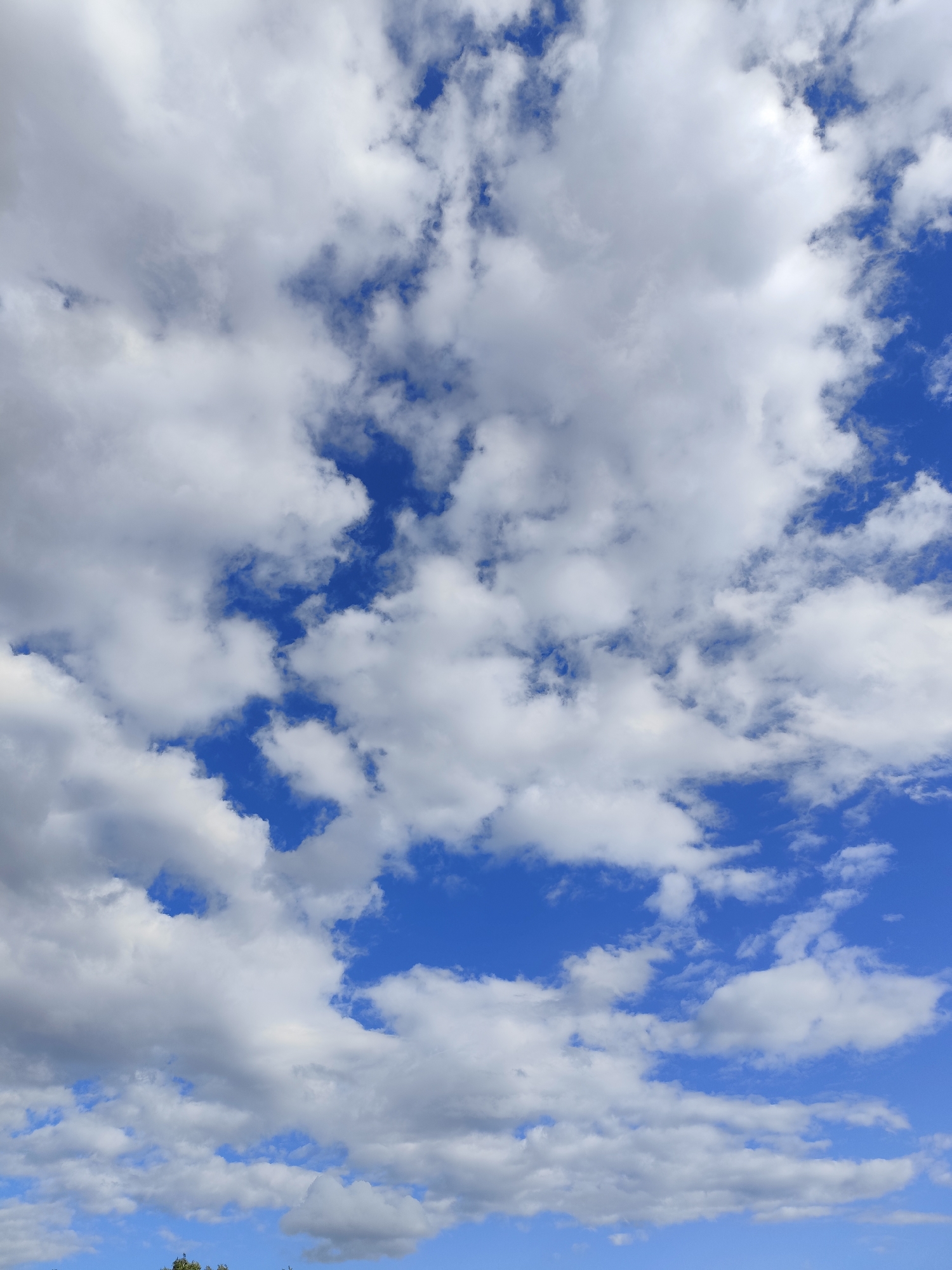 The image shows a sky filled with white, puffy clouds against a bright blue background. The clouds are varied in shape and density, with some appearing larger and more substantial, while others are wispy and scattered. The overall impression is of a sunny day with dynamic cloud formations. The scene is a natural outdoor environment, devoid of any human presence or man-made structures, with only a hint of green foliage visible at the very bottom edge of the frame, suggesting it is an outdoor landscape. The location is specified as Березов ауылдық округі, Kazakhstan, indicating a rural or semi-rural setting.