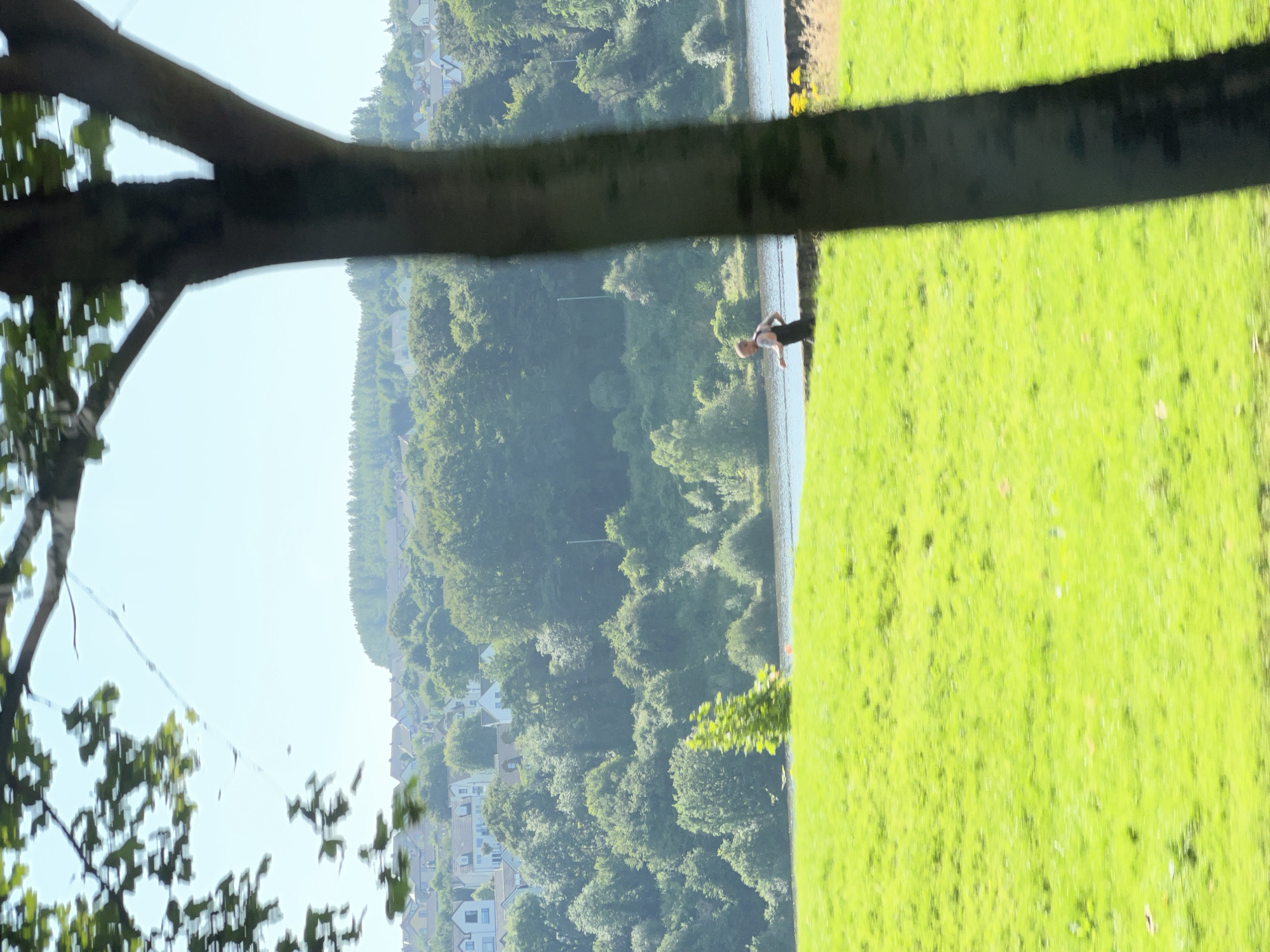 The image depicts a landscape scene with a body of water in the middle ground, bordered by lush green grass on the right and a forested hillside on the left. A tree trunk runs horizontally across the foreground, partially obscuring the view.
On the grassy area near the water's edge, a person is visible. They appear to be a male, wearing dark shorts and a light-colored top. Their posture suggests they might be standing or squatting, facing away from the camera towards the water.
The hillside on the left is covered in dense green trees, and in the distance, houses with white roofs are nestled among the trees, suggesting a residential area. The sky is a clear, bright blue, indicating daytime with potentially fair weather.
The overall impression is a tranquil outdoor setting, possibly a park or recreational area adjacent to a river or lake. The bright green of the grass and the vibrant foliage of the trees suggest a time of year during the warmer months, likely spring or summer. The scene evokes a sense of peacefulness and natural beauty. There is no visible text in the image.