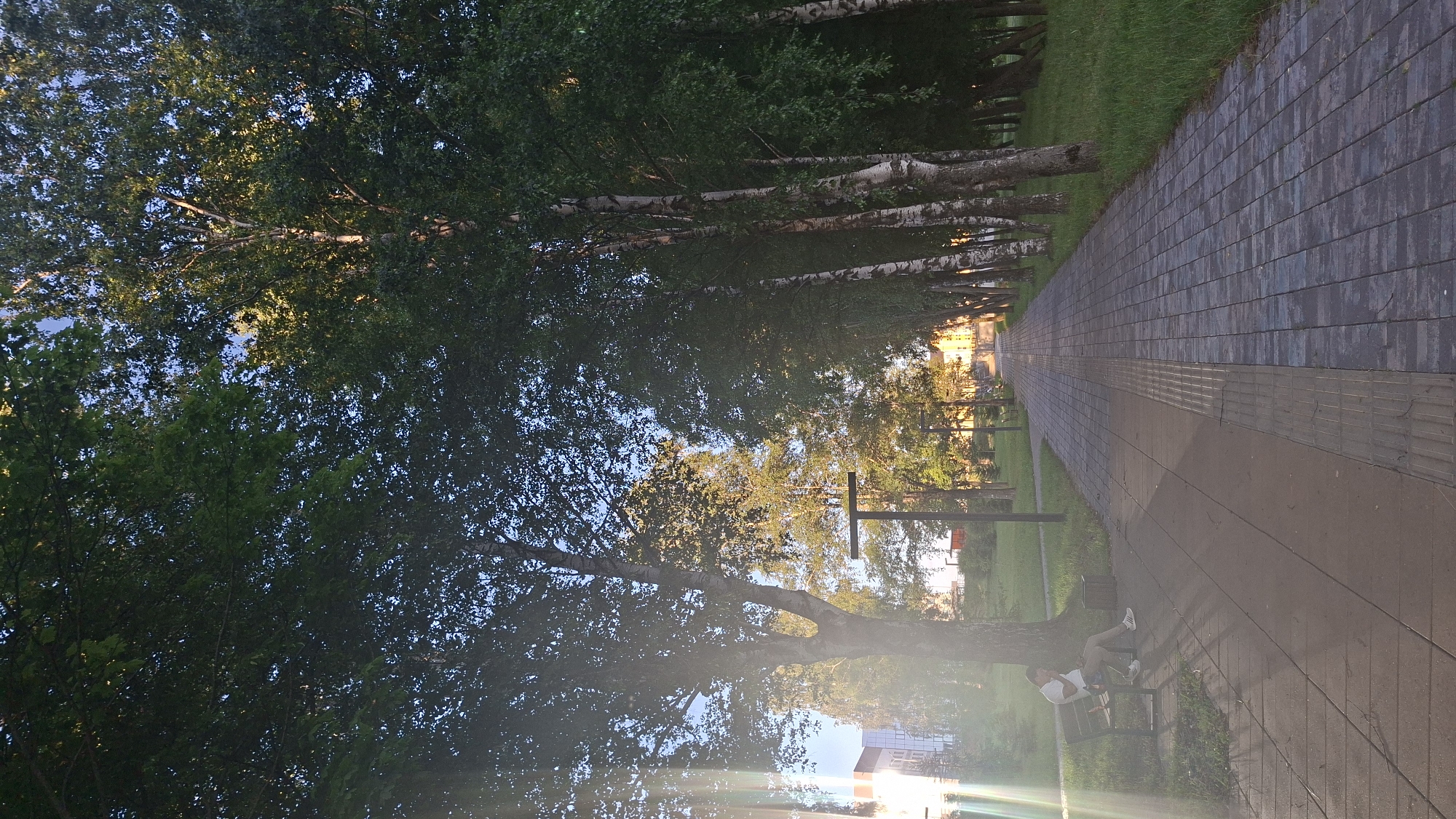 A young man sits alone on a park bench to the left of a paved walkway lined with trees. The sun casts long shadows across the walkway, which is made of rectangular stones. The man, wearing a white t-shirt and beige pants, is looking at his phone. He is seated on a dark green metal bench. To the right of the walkway, a strip of green grass extends to a line of birch trees. In the distance, buildings are visible, and the sun is setting, creating a warm glow. The atmosphere is peaceful and serene.