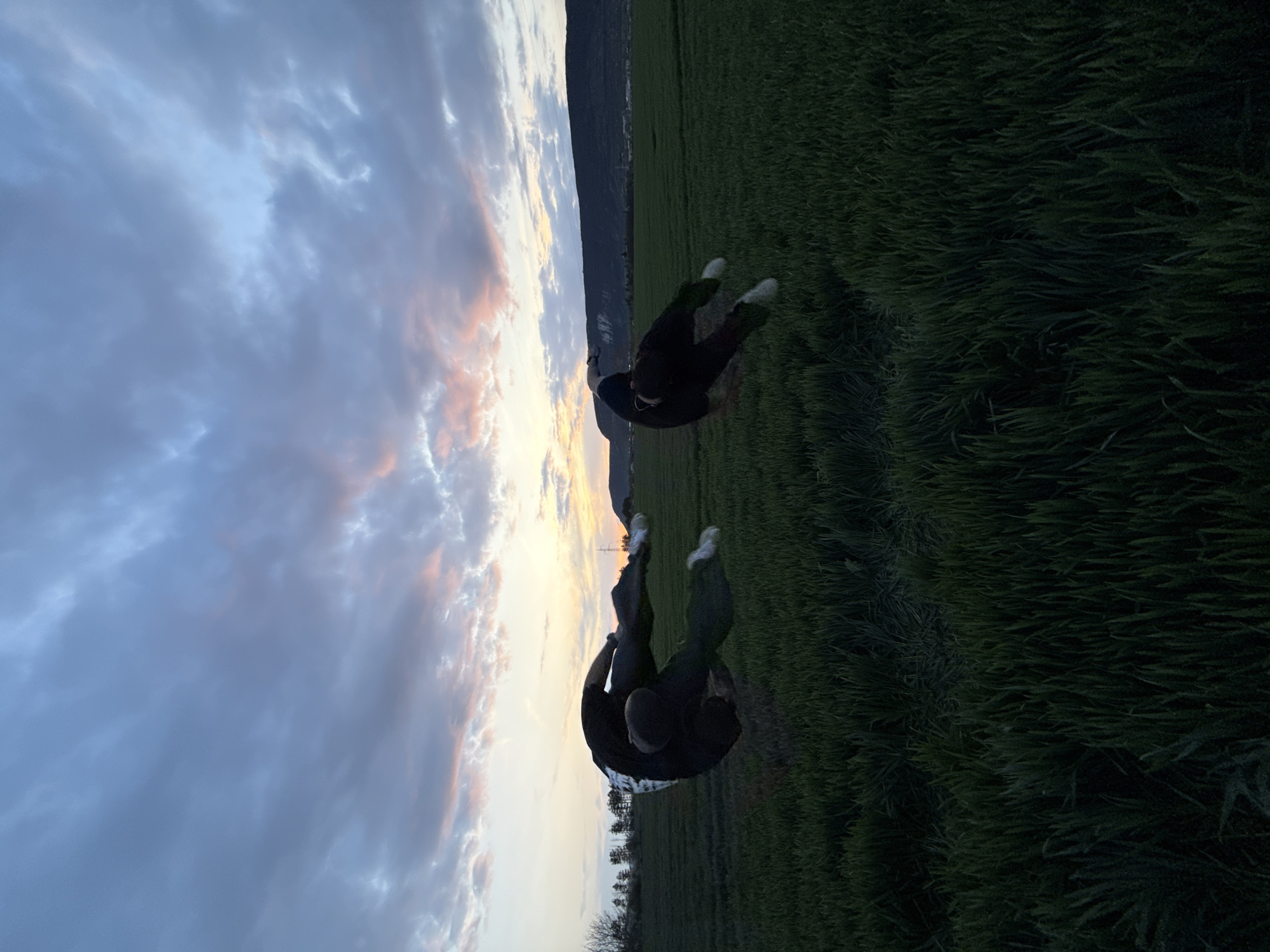 The image shows a landscape scene. In the foreground are two people, seemingly standing in a field of green grass. One person is wearing a dark shirt and light-colored sneakers. The other person is similarly dressed. The background reveals a cloudy sky with hues of blue, gray, and pink, suggesting either sunrise or sunset. In the distance, a dark, slightly elevated landmass is visible, possibly a mountain or a hill. It is impossible to determine the specific location in Shumen, Bulgaria from the given image.