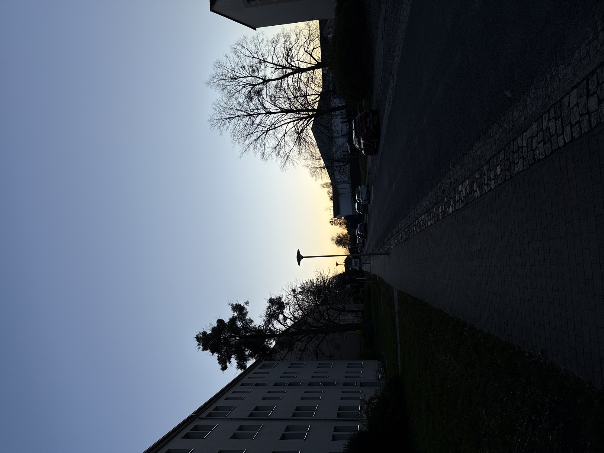 A street scene in Lauchhammer, Germany, captured at dusk. The image is oriented vertically. The sky transitions from blue to a yellowish hue near the horizon. On the right, a dark street runs towards the horizon, lined with parked cars and dense, dark foliage. A building with a low-slung roof borders the top edge. On the left, a building with multiple windows occupies the lower portion of the image. Bare trees are silhouetted against the sky. A lamppost stands near the horizon. A sidewalk is visible between the street and the foliage.