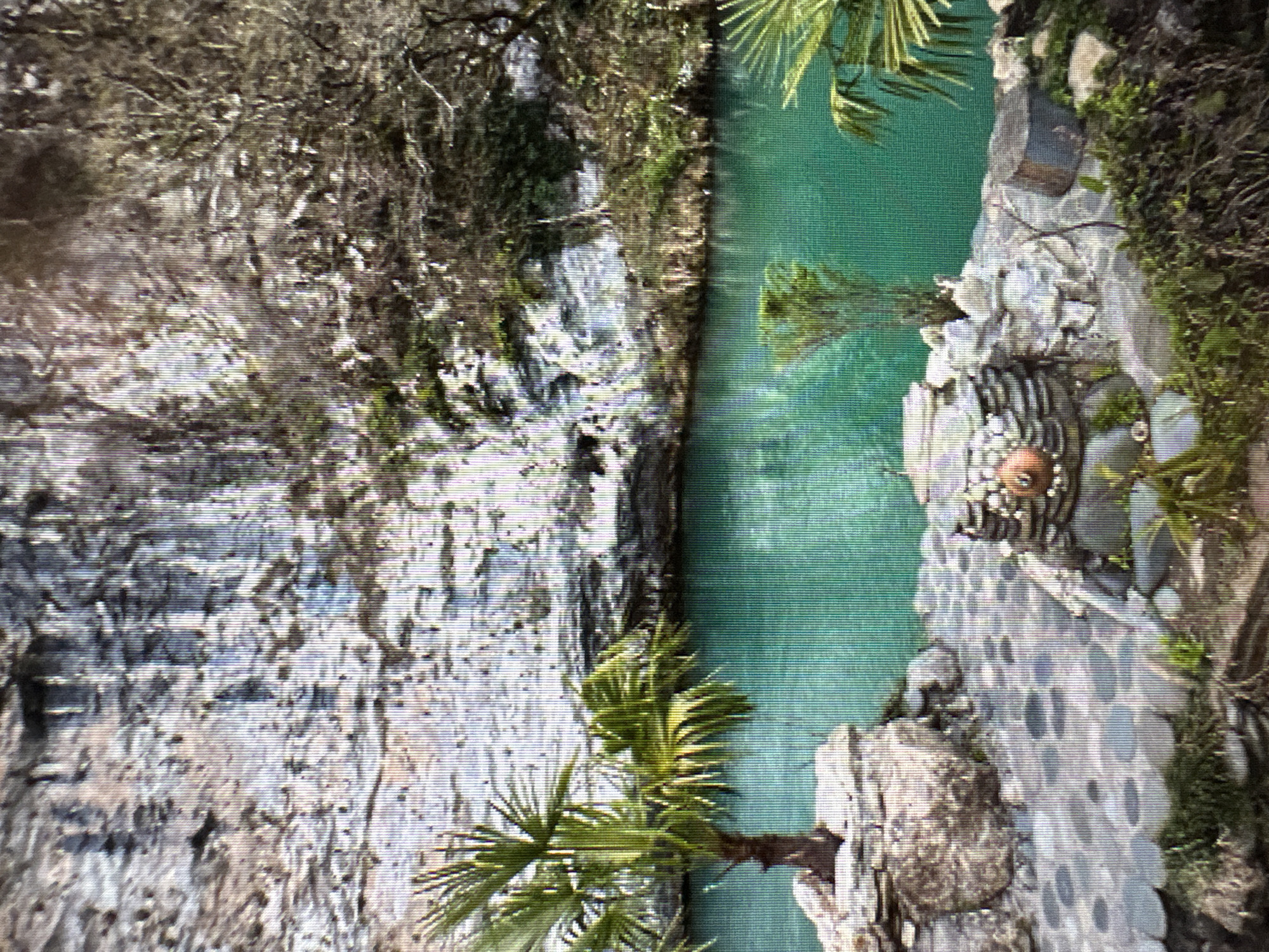 This image depicts a natural landscape scene featuring a body of water with a turquoise hue, likely a lake or a river, bordered by a rocky cliff face. The cliff is textured with vertical striations and patches of vegetation. To the right of the cliff, there are trees with bare branches, suggesting a temperate climate or season. In the foreground, a paved area with circular stone patterns leads to a collection of rocks and smaller plants. A small palm tree is visible on the left, planted in a rocky outcrop. A distinctive feature in the foreground is a decorative structure made of stones and what appears to be a terracotta pot, possibly a water feature or garden ornament. The overall impression is of a scenic, possibly cultivated natural area. The image does not contain any elements that would allow for identification of a specific location within Moscow, Russia, or any human presence.