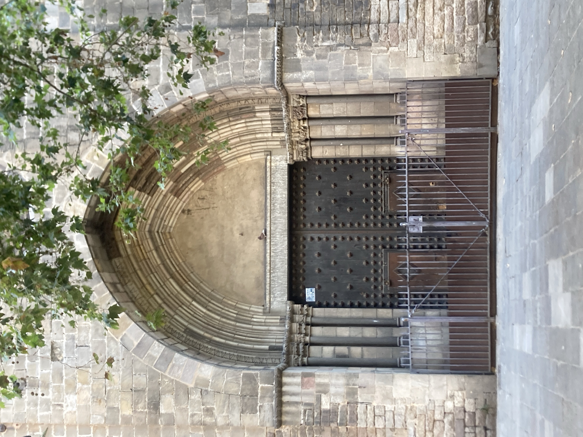 An eye-level medium shot captures the imposing entrance of a stone building in Barcelona, Spain. The facade is constructed from large, rough-hewn grey stones, punctuated by a large, arched doorway. The arch is elaborately decorated with concentric bands of carved stone, and above the doorway, a single, small brown bird perches on a ledge. Flanking the doorway are two sets of three fluted columns, topped with ornate, carved capitals.
The doorway itself is a massive, dark metal double door, studded with numerous metal bosses. The doors are closed and feature two smaller, inset doors within them. A metal gate, composed of vertical bars with a wooden backing, stands in front of the main doors. The gate is slightly ajar, revealing a dark interior beyond.
Overhanging the scene, from the top of the image, are branches of a tree with green leaves and a few small, dark fruits. The ground in front of the building is paved with large, rectangular grey stones. The overall impression is one of historical grandeur and solid construction.
