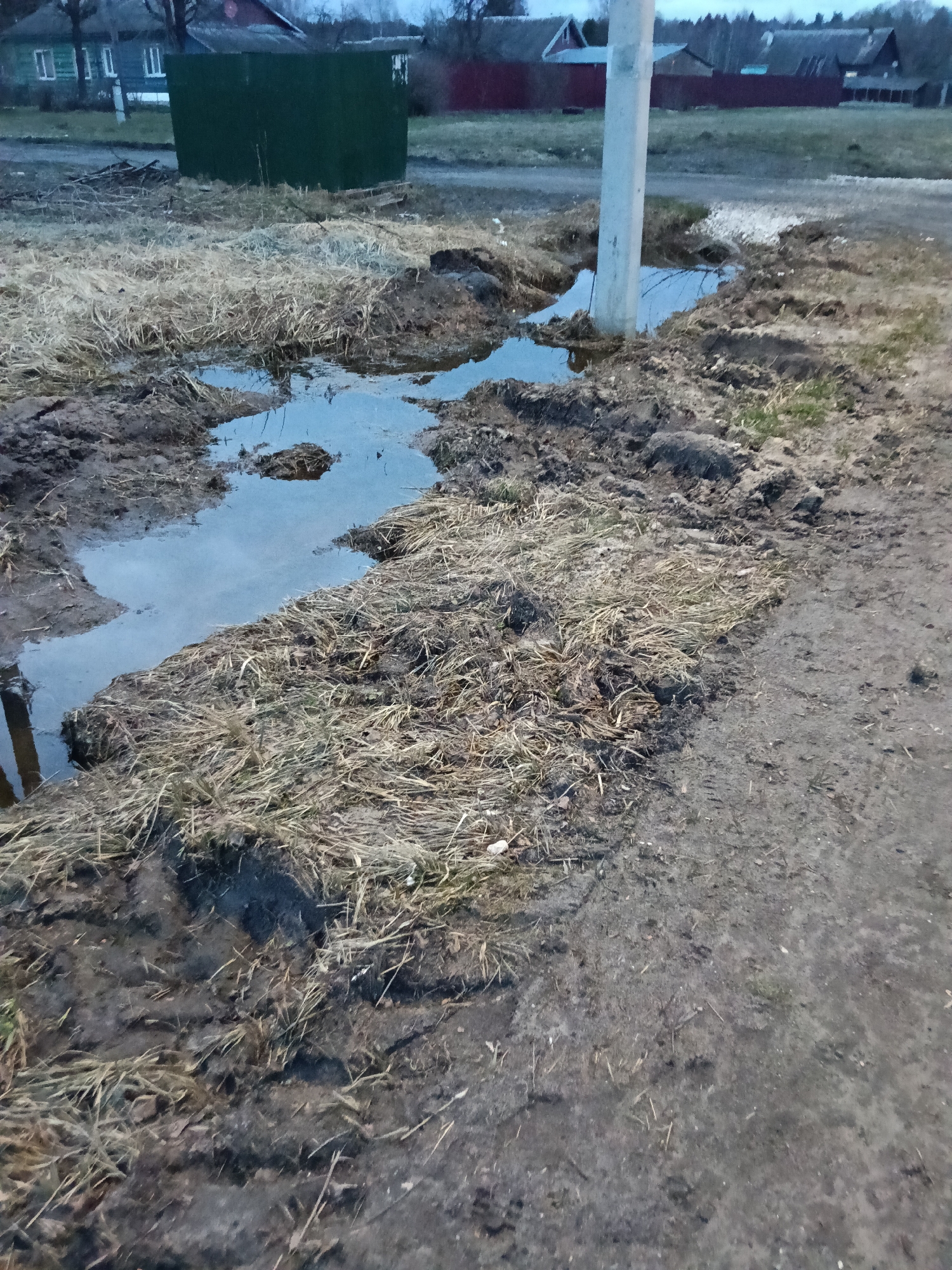 The image shows a muddy and waterlogged roadside area in Красный Маяк, Russia. The ground is saturated with water, forming large puddles and areas of standing water mixed with mud. Decayed vegetation, primarily dead grass and weeds, is scattered throughout the scene. A utility pole rises from the ground near one of the larger puddles. In the background, buildings, including houses with visible roofs and a green storage shed, are present. The sky is overcast, suggesting a recent or ongoing period of rain. The road surface, visible on the right side of the frame, is also muddy and appears unpaved or partially paved. There is no indication of human presence in the immediate scene.