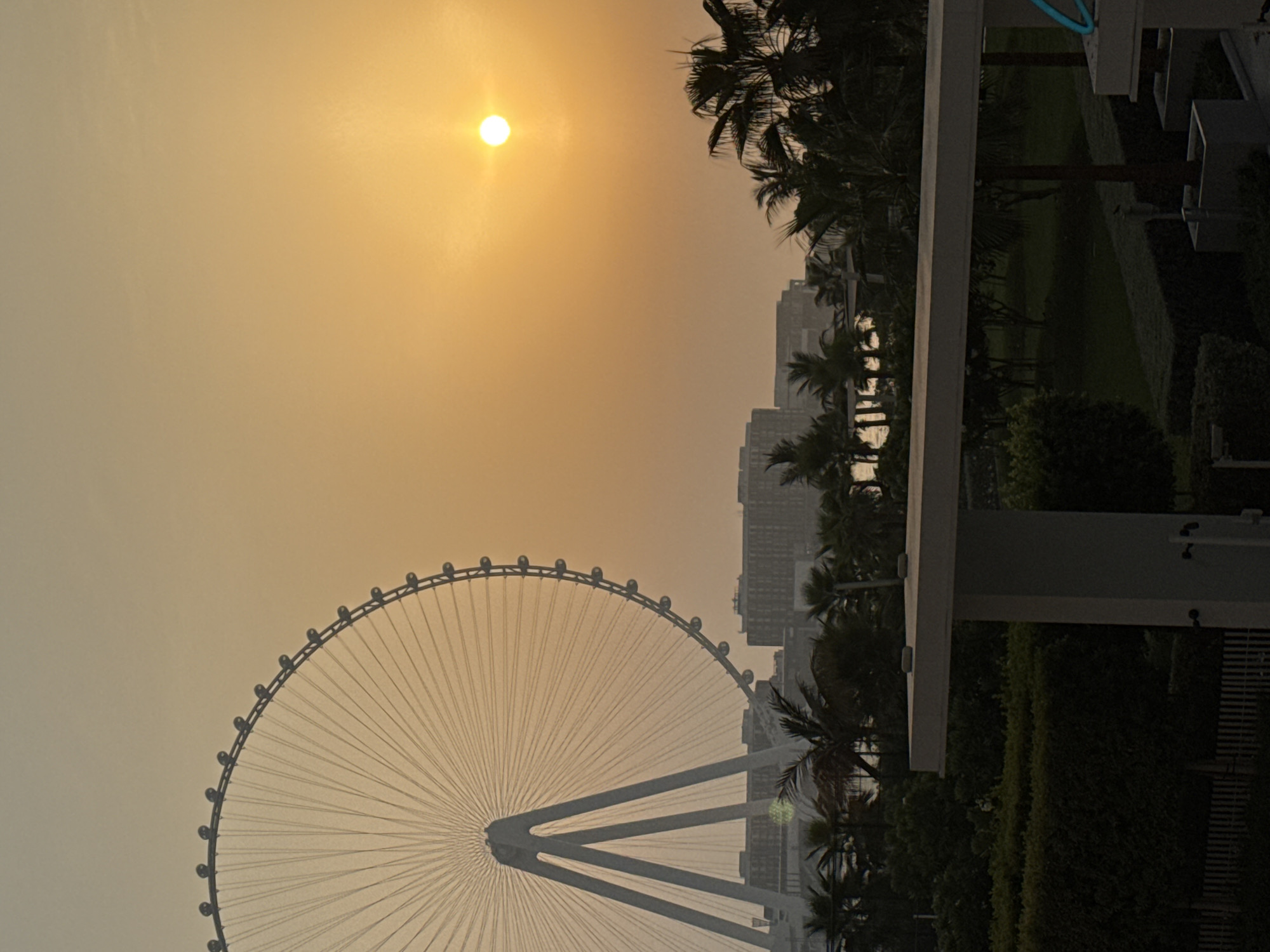 The image depicts a sunset scene in Dubai, United Arab Emirates, likely near Bluewaters Island, which is home to Ain Dubai, the large Ferris wheel visible in the background. The sky is a warm, hazy orange, characteristic of a sunset. Ain Dubai, a prominent landmark, dominates the left side of the frame, its white spokes radiating outwards. In the middle ground, a cluster of modern buildings, likely hotels or residences, can be seen, partially obscured by the hazy atmosphere and palm trees. The foreground features lush green foliage, including manicured hedges and palm trees, suggesting a well-maintained park or resort area. A white structure, possibly part of a balcony or viewing platform, is visible in the lower right quadrant of the image. The overall atmosphere is tranquil and scenic, capturing the essence of a Dubai sunset.