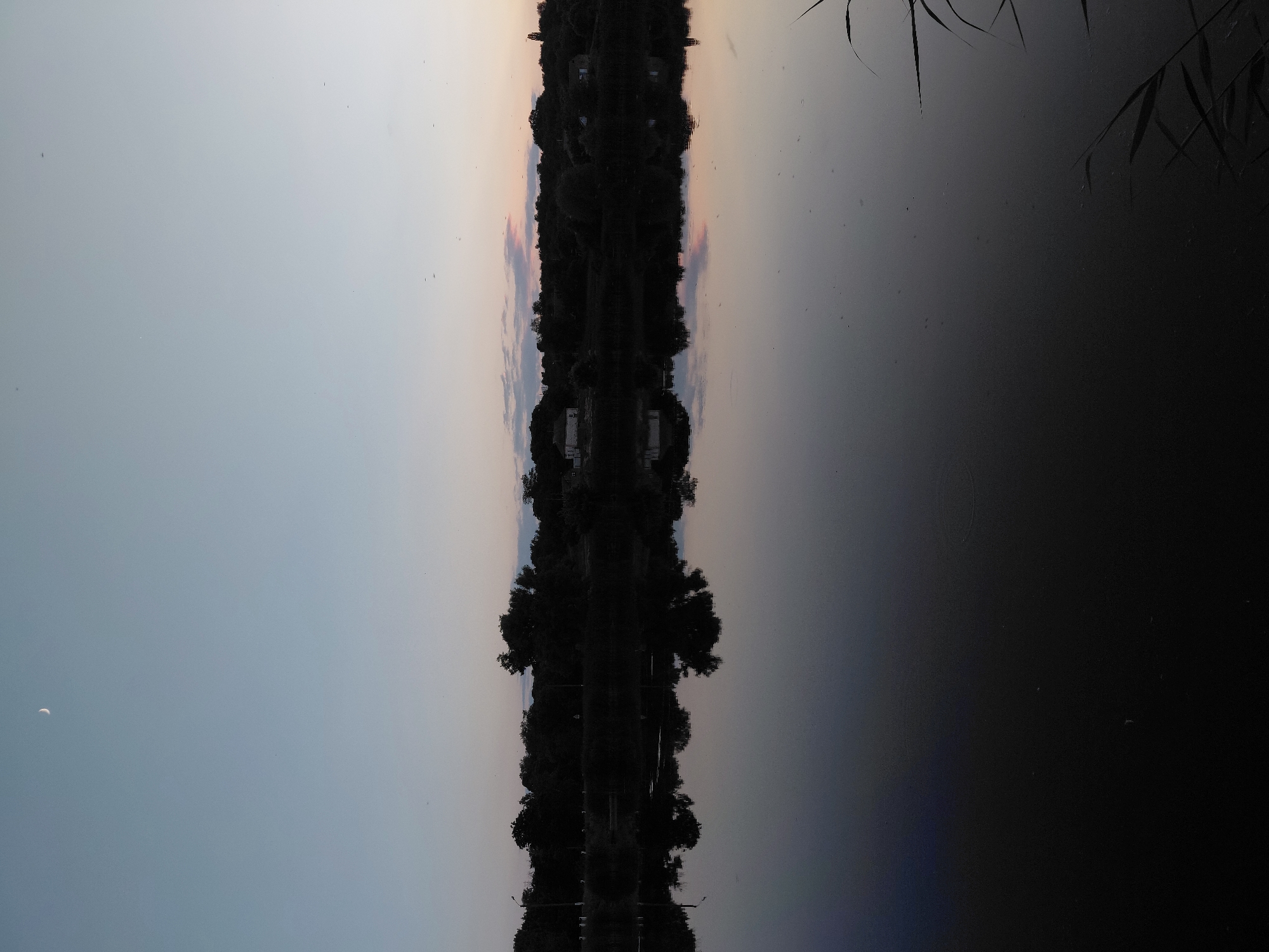A landscape photograph captures a serene twilight scene over a body of water, likely a river or lake, in Ustyvytsia, Ukraine. The sky displays a gradient of pale blue fading into subtle hues of pink and orange near the horizon, with a sliver of a crescent moon visible in the upper left quadrant. Silhouetted against the sky is a dense line of trees and vegetation forming the far bank of the water. On this bank, several structures are discernible, including what appear to be houses or buildings, some with visible roofs. The surface of the water is remarkably still, acting as a mirror that reflects the sky, the trees, and the structures with striking clarity. In the foreground, dark reeds or tall grass are present along the right edge of the frame, their silhouettes contributing to the overall somber yet peaceful atmosphere. There are no visible people or animals in the scene. The overall impression is one of quietude and natural beauty at the transition from day to night.