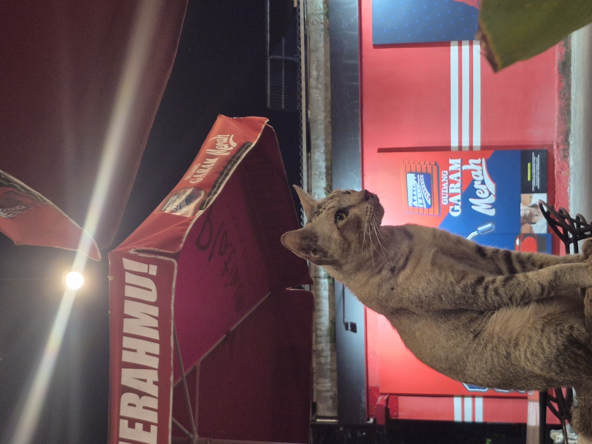 An outdoor, nighttime scene features a brown tabby cat as the primary subject, looking upwards and to the right with an alert and curious expression. The cat's head is tilted slightly, and its striped fur is visible in the artificial light.
The background is dominated by vibrant red commercial signage and structures. On the left, a red awning or canopy displays partial white text, including "GARAM Merah" and "ERAHMU!". A bright, circular light source shines from the left side, illuminating the scene and creating a long streak of light on the awning.
On the right side of the frame, behind the cat, is a large red wall or sign featuring prominent white vertical stripes and a blue section at the top. Clearly visible on this sign is the text "GUDANG GARAM Merah", identifying a well-known Indonesian cigarette brand. Below this, part of a graphic showing a person is visible. The dark background confirms the scene takes place at night. The overall setting suggests a commercial area, possibly a street-side stall or shop in Lhokseumawe, Indonesia, characterized by the local branding and late-night activity. No people are visible in the image.