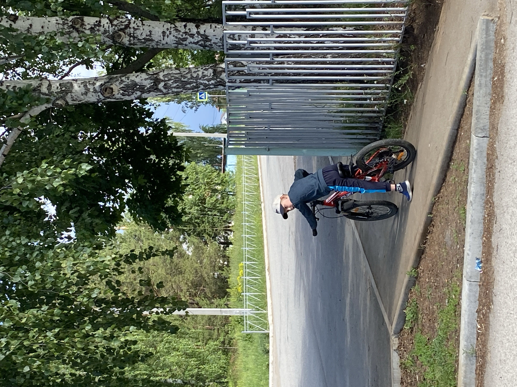 A person is riding a red and black bicycle on a paved road next to a sidewalk in a city. The person is wearing a blue long-sleeve shirt, blue and black pants with a light blue stripe, a white baseball cap, and blue sneakers. A metal fence runs along the side of the road, separating it from a grassy area with trees and bushes. A birch tree is visible on the left side of the image. A road sign is attached to the fence. The city is Noviy, Russia.
