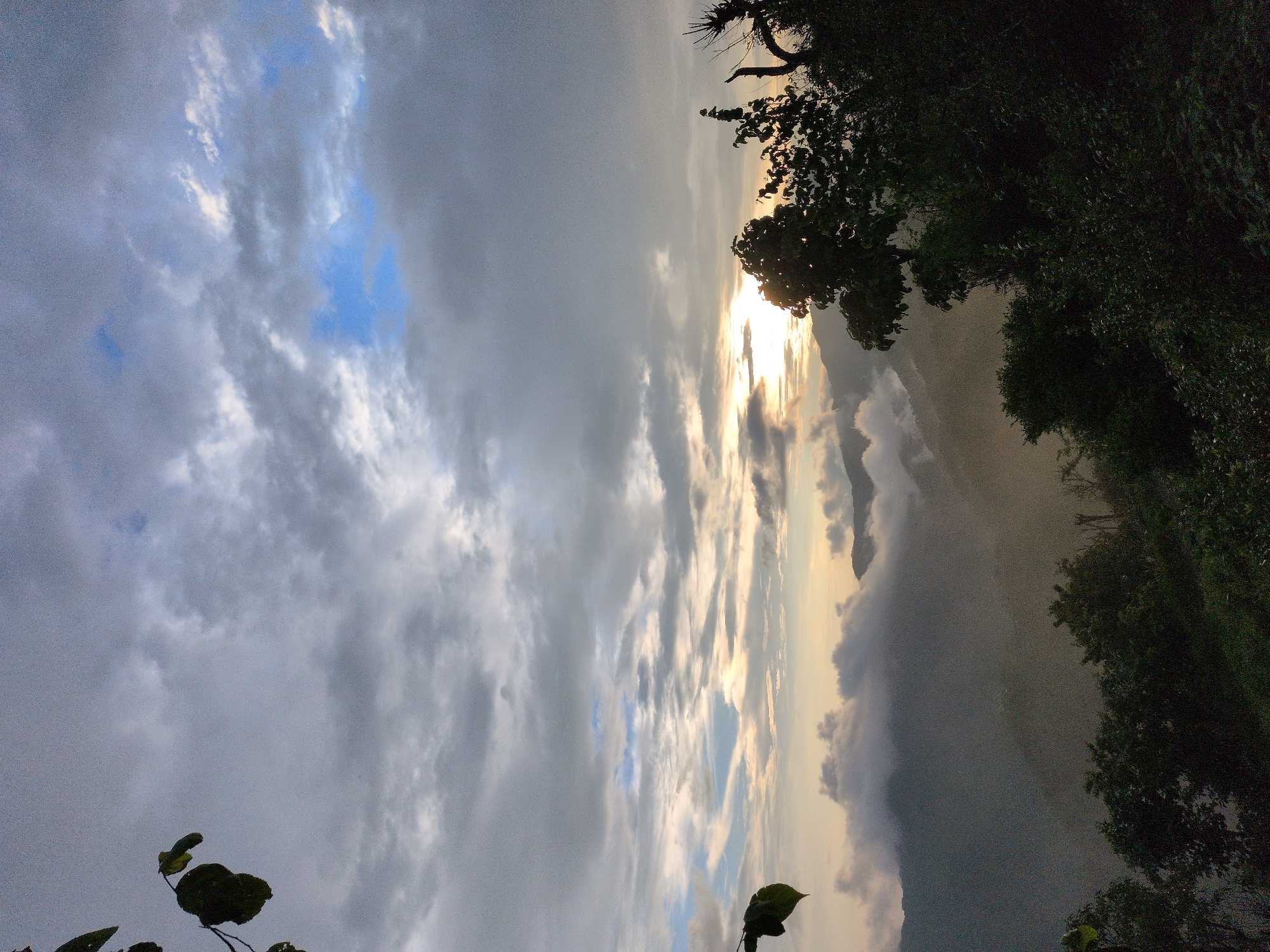 An overcast sky with patches of blue and sunlight breaking through sits above a misty mountain landscape. Clouds hug the peaks of the mountains, obscuring much of the lower valleys, which are bathed in a soft, diffused light. In the foreground, the dark silhouettes of trees and foliage create a stark contrast against the lighter background. The scene captures a serene, natural environment. The location is Kapurkot, Nepal.