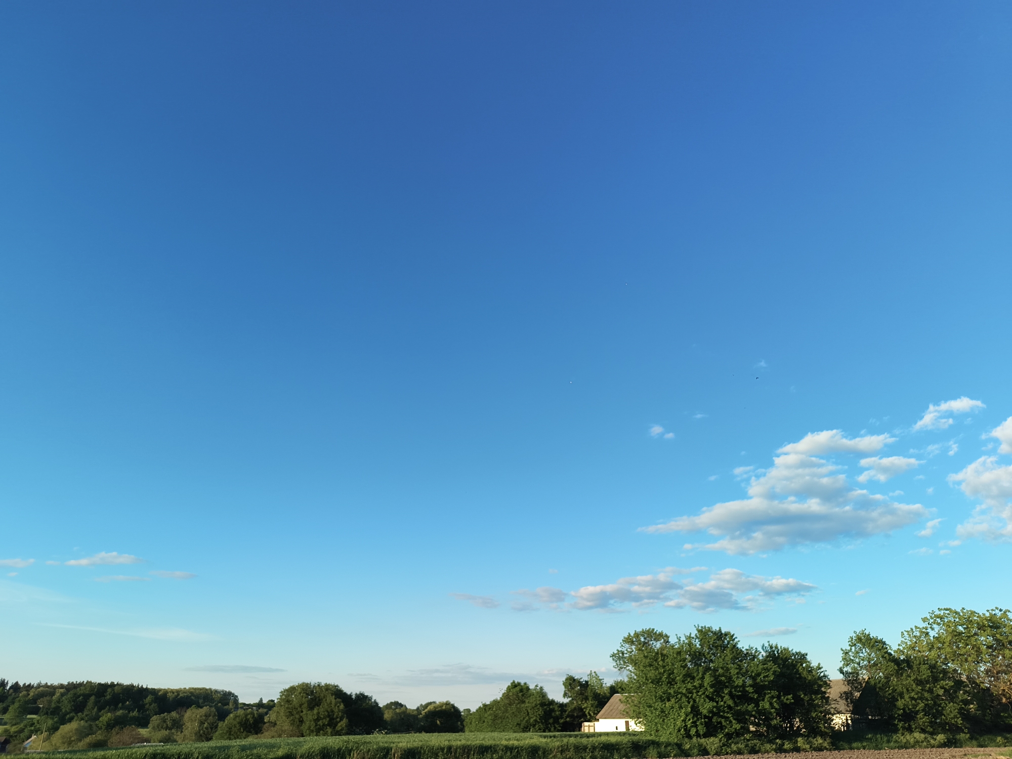 The image presents a broad, open vista of a rural landscape under a clear blue sky, punctuated with sparse, low-lying clouds toward the horizon. In the foreground, a dense treeline forms a natural border, partially obscuring the view of a small, light-colored structure with a distinctive pitched roof - likely a building of some sort. The treeline itself consists of various deciduous trees, and low lying bushes. Beyond, the sky transitions from a deep azure overhead to a lighter shade closer to the horizon, suggesting the late afternoon. This scene captures a moment of rural tranquility, with the natural elements of sky, trees, and low-lying vegetation dominating the composition. No people are visible. The scene is potentially from Vyshevychi, Ukraine, but the exact location is unclear due to the lack of distinctive landmarks.