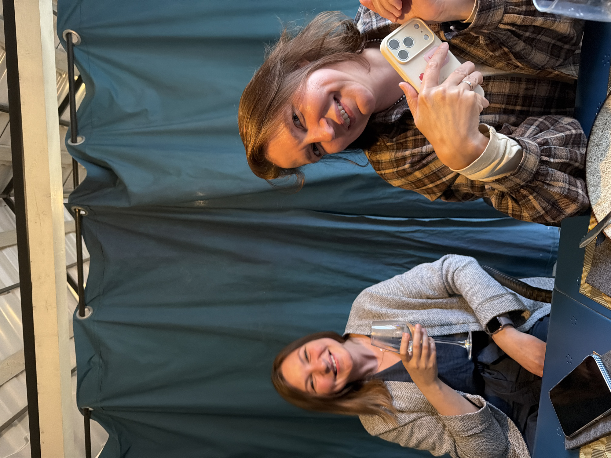 Two women are seated at a table, with a dark teal curtain in the background. The woman on the left is wearing a grey cardigan over a dark blue dress and is holding a glass of white wine. The woman on the right is wearing a brown and white plaid shirt and is holding a smartphone. Both women are smiling. The scene appears to be inside a restaurant or cafe. The overall impression is one of casual social interaction. There is no specific detail that ties this image to Chaikovsky, Russia.