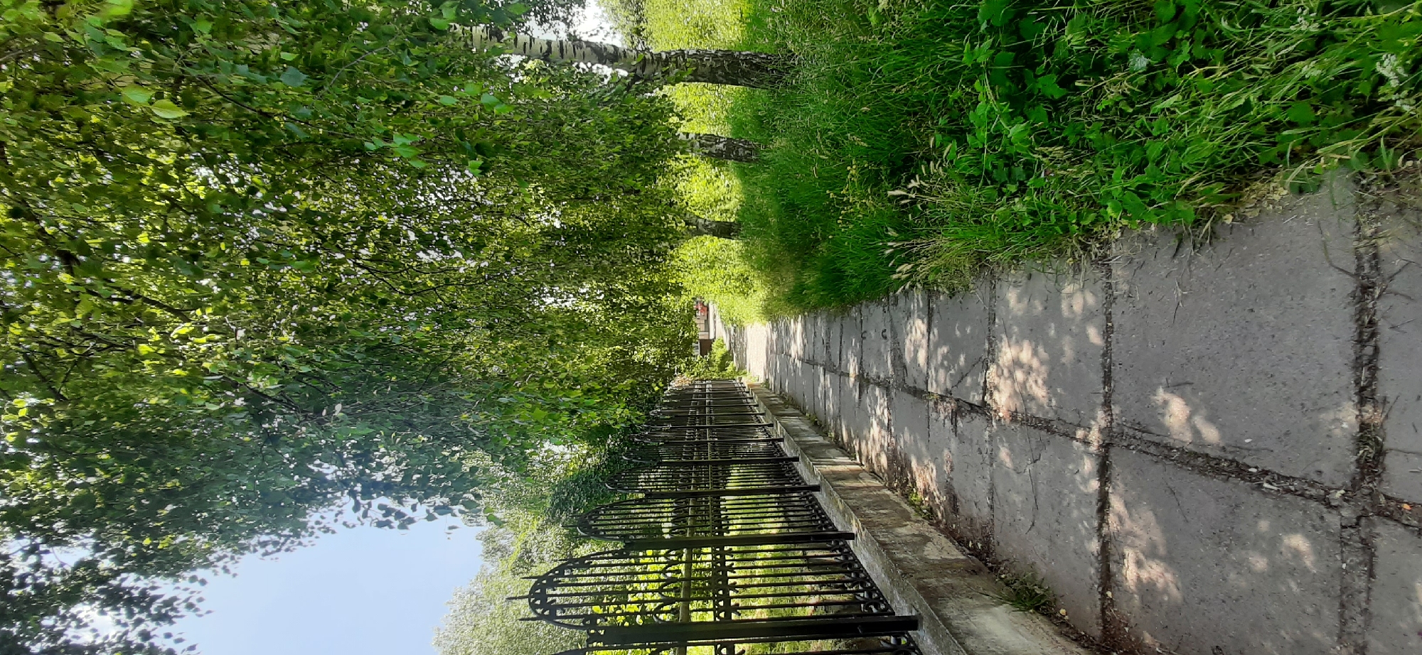 The image depicts a paved pathway in Yessentukskaya, Russia, lined by a black metal fence on one side and lush green trees and grass on the other. The pathway appears to be made of large concrete slabs with visible cracks and is dappled with shadows from the overhead foliage. A row of trees, including at least one birch with its characteristic white and black bark, casts a significant shadow over the path. Beyond the trees, to the right of the path, is an area of dense, tall green grass. The sky is a clear, bright blue. The scene suggests a pleasant, sunny day, likely in the late morning or afternoon given the angle of the sunlight and the shadows. There is no visible text in the image. The overall impression is one of a tranquil, natural setting, possibly a park or a walking trail within a residential area. The focus is on the environment rather than any specific activity.