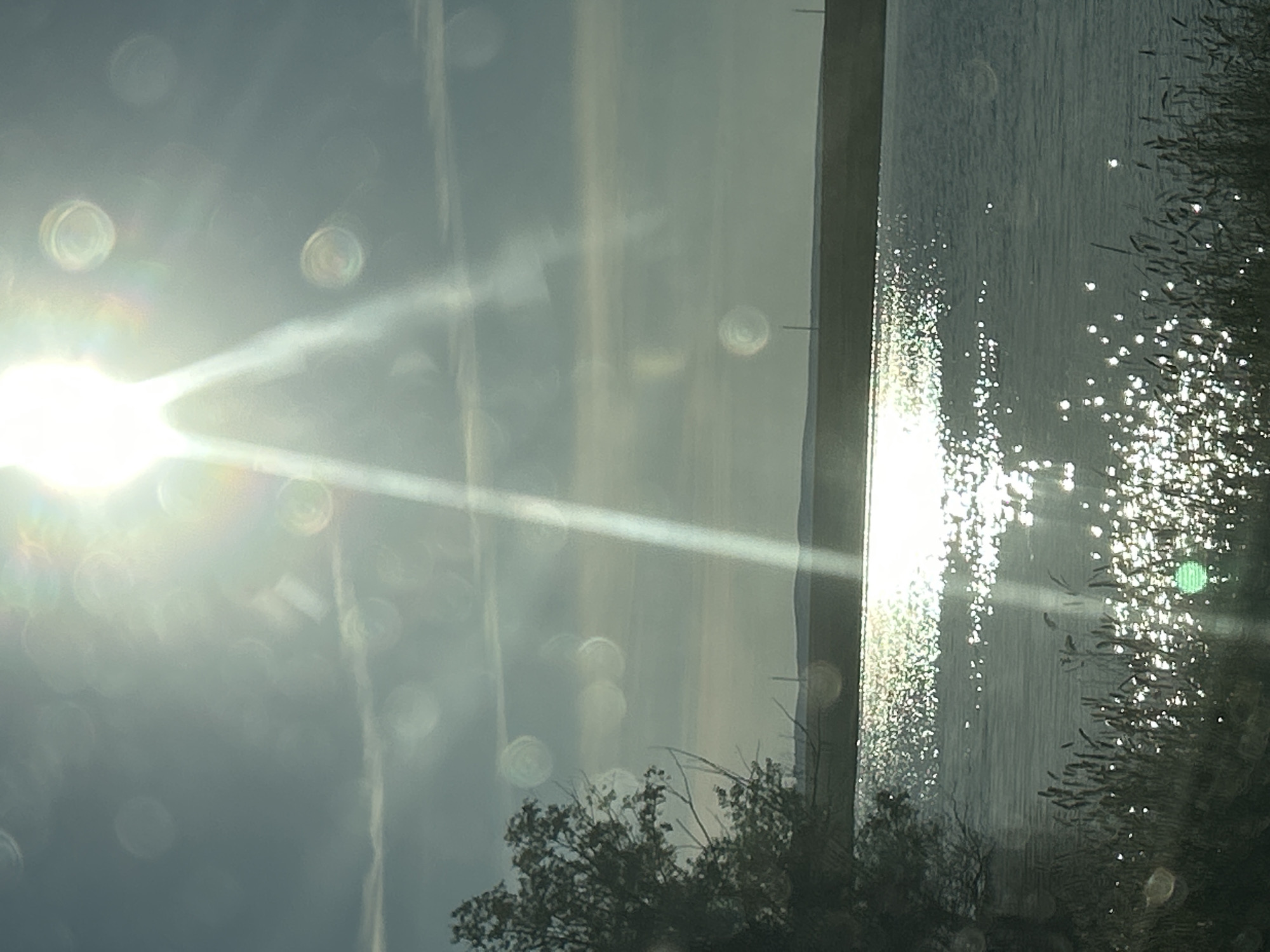 The image depicts a serene natural landscape with a prominent body of water, likely a lake or river, reflecting the bright sunlight. The sun is positioned high in the sky, casting strong light rays and creating numerous lens flares that appear as circular orbs of light throughout the frame. The water's surface is speckled with countless glints of sunlight, suggesting a gentle ripple. On the left side of the image, a silhouette of a leafy tree is visible, with its branches reaching out. In the foreground, along the water's edge, tall grasses or reeds are present. The background shows a flat, distant horizon line, with a low hill or landmass visible. The sky is a pale blue, with wispy cloud formations and the aforementioned lens flares. There are no people or animals visible in the scene. The location is identified as Matraevo, Russia.