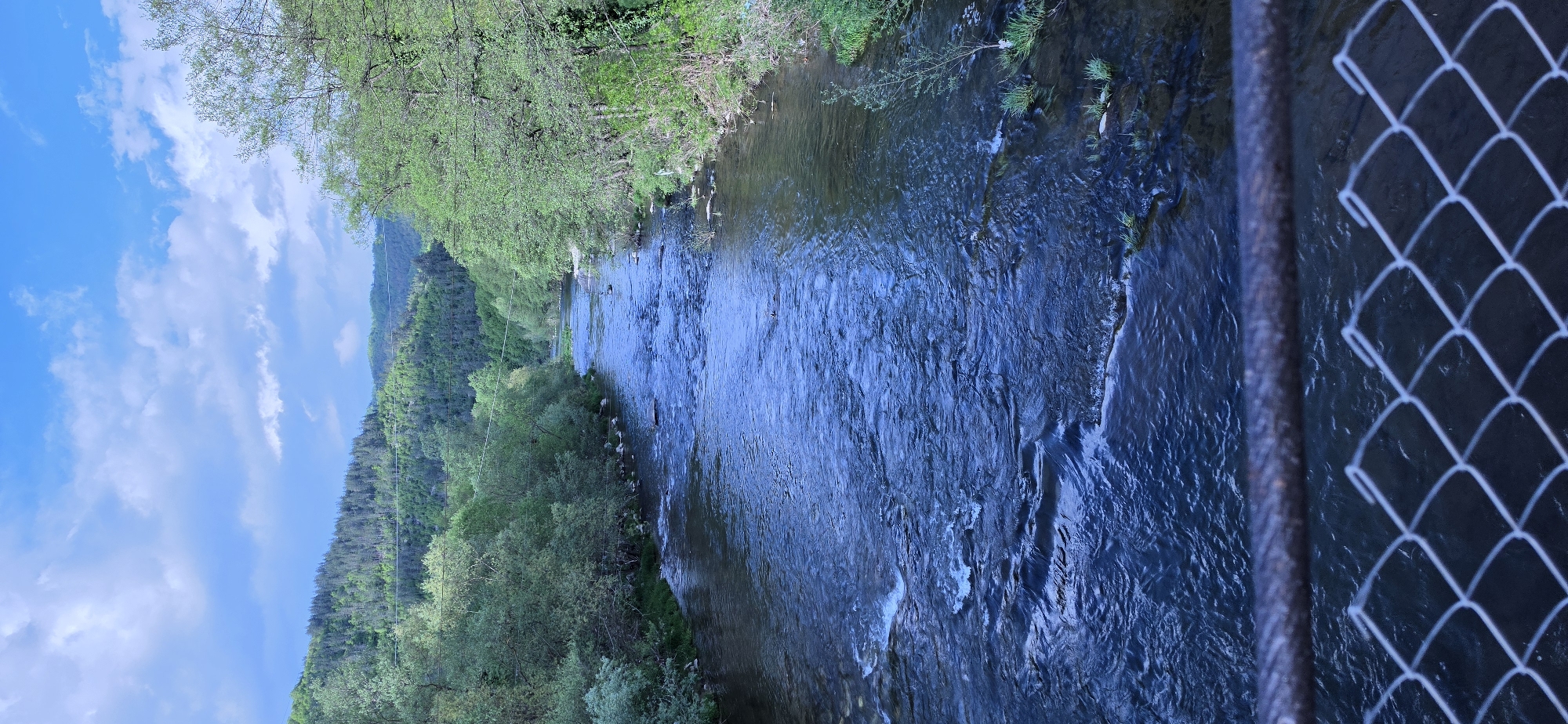 A long, narrow river flows from the upper center to the lower right of the frame. Lush green trees cover the river banks. A dense forest rises up the hillside to the left of the river. The sky above the forest is light blue with scattered white clouds. A metal safety fence is visible in the right foreground. The image is rotated so that the river appears to run vertically. The image was taken in Rustan, Bulgaria.