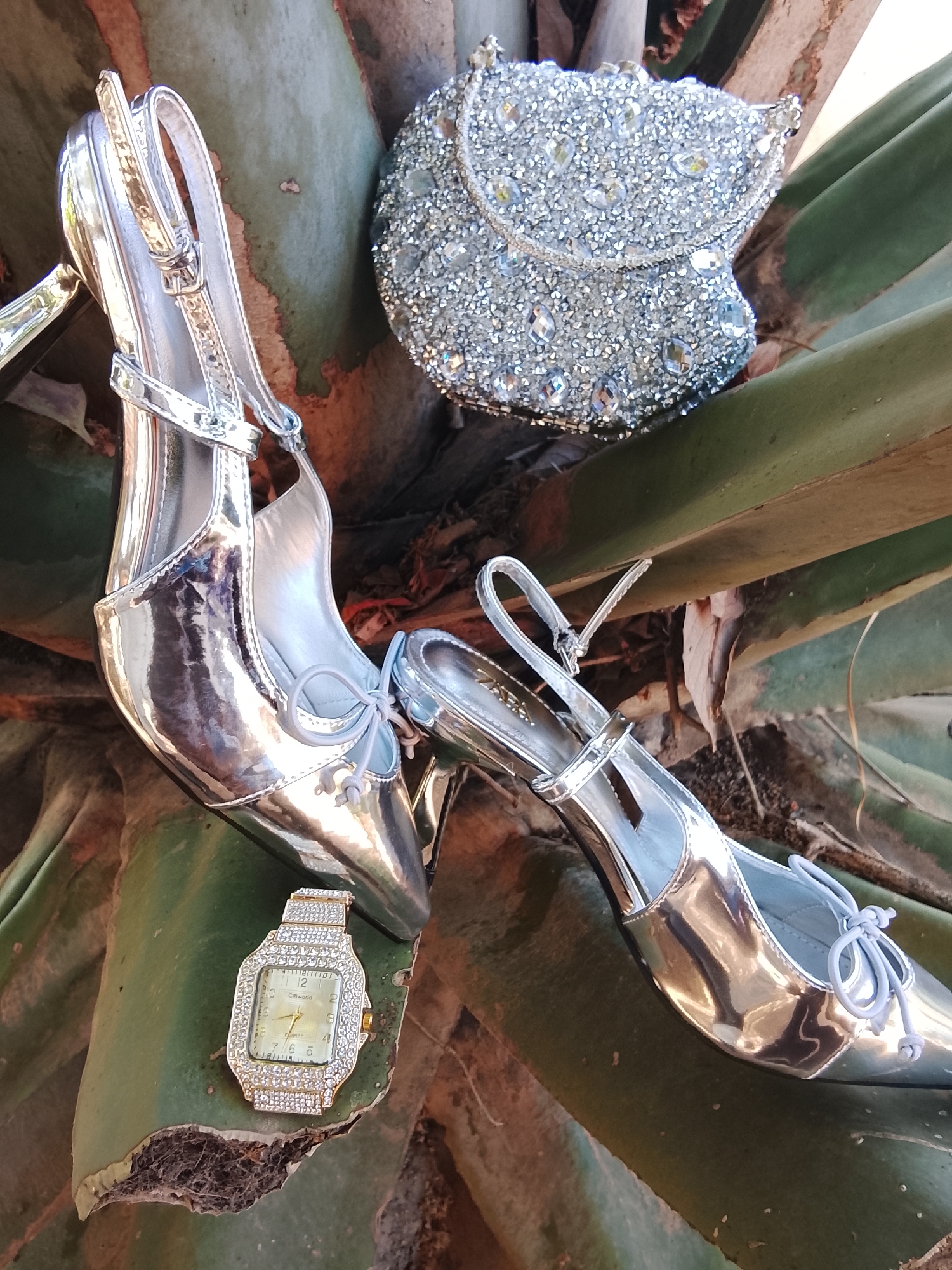 A pair of silver high-heeled shoes, a silver sequined purse, and a rhinestone-covered watch are arranged on a natural surface with green and brown tones. The shoes are shiny, with a strap and a pointed toe featuring a tied detail. The purse is heavily embellished with sequins or rhinestones, and the watch has a rectangular face surrounded by stones. The setting appears to be outdoors, possibly on a large plant. The location is Unknown, Unknown.