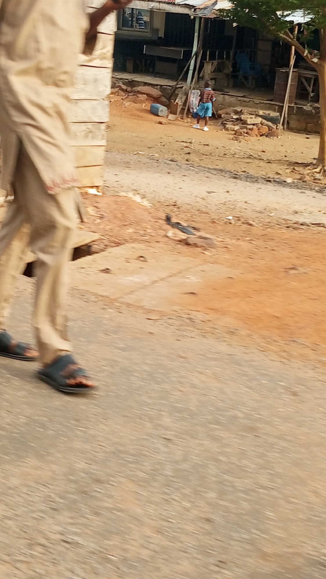 The image captures an outdoor scene in Adankolo, Nigeria, featuring a partial view of a person in the foreground and a street or unpaved area leading to a building and a child in the background.
In the immediate foreground, the lower half of a person, likely an adult, is visible walking towards the left side of the frame. They are wearing loose-fitting, light-colored trousers and dark sandals with a distinctive orange pattern on the straps. Their movement is suggested by a slight motion blur.
The midground features a dusty, reddish-brown unpaved area, characteristic of laterite soil. A dark, bird-like object or debris is visible on this ground section. Further into the background, a small child is standing facing away from the camera, looking towards the right. The child is dressed in a plaid shirt with red and blue checks, blue shorts, and white shoes. Near the child, on the ground, a blue container, possibly a jerrycan, lies on its side.
Behind the child is a rustic-looking building, possibly a dwelling or commercial structure. It has a corrugated metal roof and features windows with grates or coverings. The area immediately around the building appears somewhat unkempt, with piles of bricks or rubble. On the far right, a tree trunk with sparse green foliage can be seen.
The lighting indicates it is daytime, with bright conditions suggesting clear weather. No discernable text is visible in the image. The overall scene depicts a typical street or community environment in the specified location.
