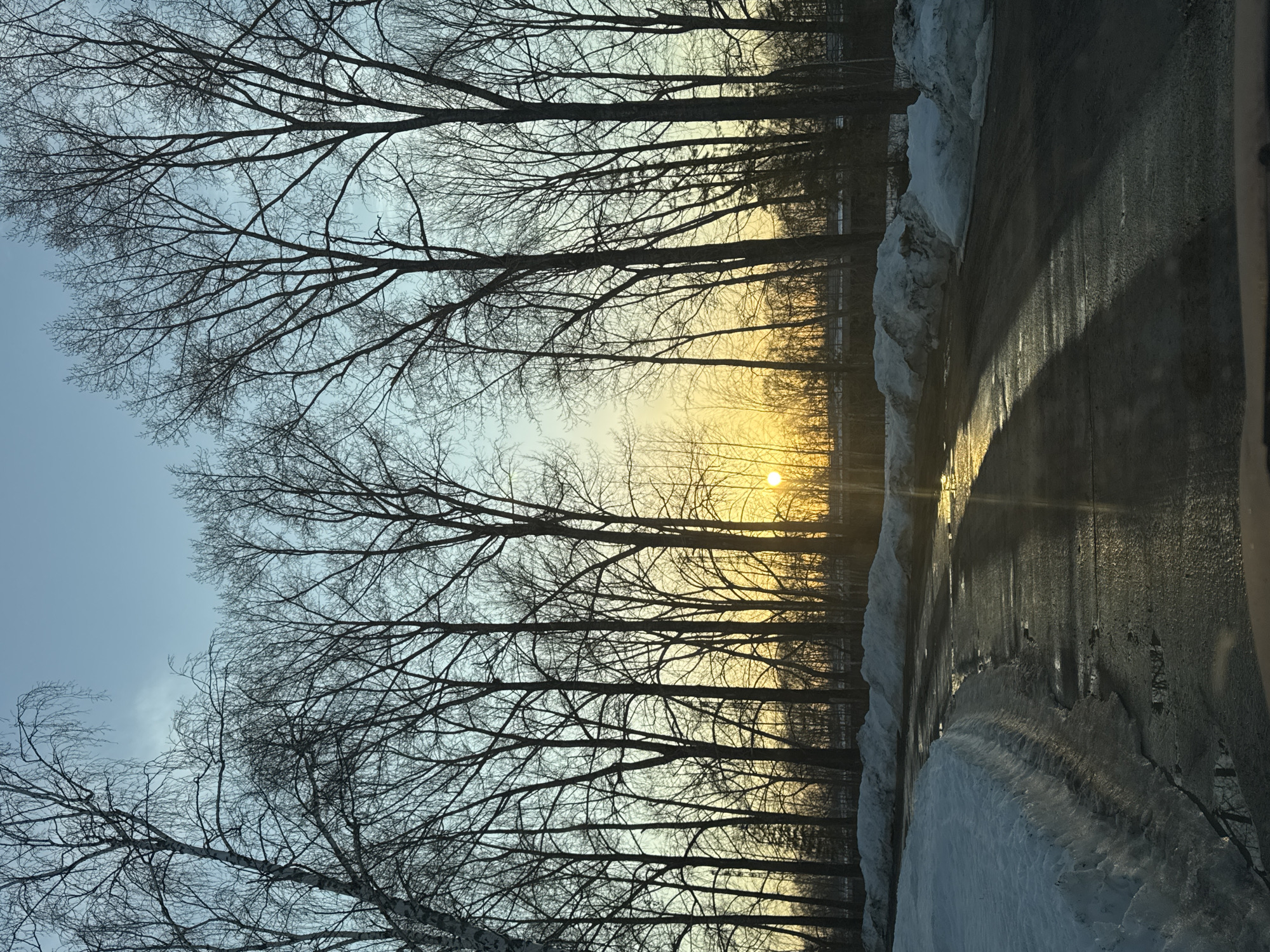 The image depicts a winter scene likely in Chaikovsky, Russia. The foreground shows a paved road with a substantial accumulation of snow on its right side, suggesting a recent snow removal effort. The road surface is wet, reflecting sunlight. In the background, a row of bare trees with intricate branching patterns stretches across the horizon. The setting sun is visible between the trees, casting a warm, golden glow on the sky. The sky transitions from a pale blue to a warmer tone near the horizon. The overall impression is that of a late afternoon or early morning in a snowy, wooded environment. There are no people visible in the frame.