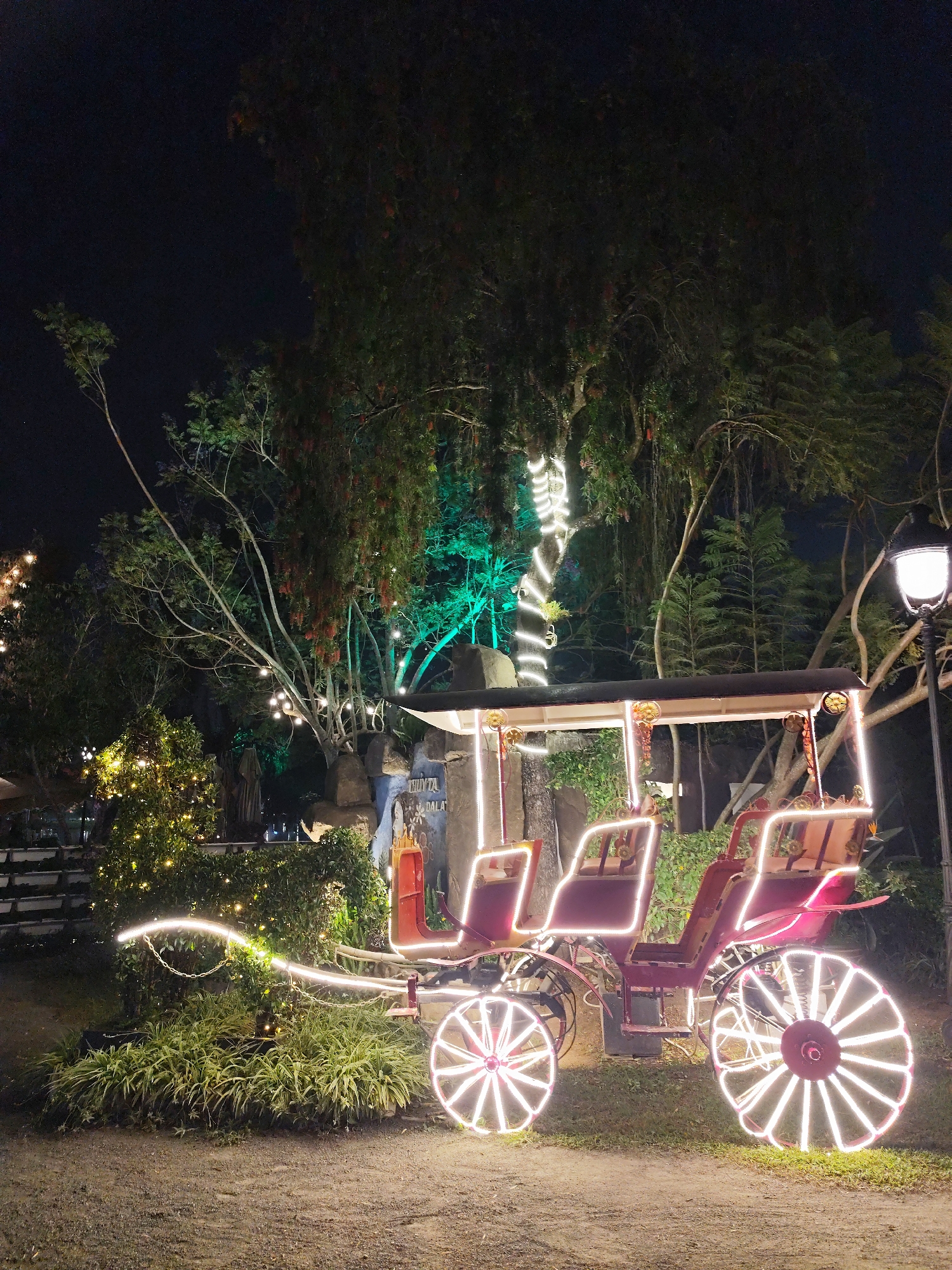 The image displays a nighttime scene in an outdoor garden or park setting in Da Lat, Vietnam. The prominent feature is a maroon-red, vintage-style carriage, extensively decorated with bright white LED strip lights outlining its canopy, multiple seats, frame, and the spokes of its wheels. The carriage is positioned on a ground surface composed of dirt or gravel, with patches of green grass and low-lying plants.
In the mid-ground, to the left of the carriage, a hedge shaped like a horse's head is illuminated with white decorative lights, connected by a chain. Numerous trees populate the background, some adorned with various lighting: one large tree trunk is wrapped with spiraling white LED lights, while another section of foliage is bathed in a distinct green light. Warm-toned string lights are visible strung between other trees. A traditional black lamppost with a glowing white lantern stands on the far right. Behind the carriage, a partial blue and white sign, visible on a rock-like structure, reads "THUY TA DA LA," indicating the location is near Thuy Ta in Da Lat. No individuals are present, and no actions or interactions are depicted.
