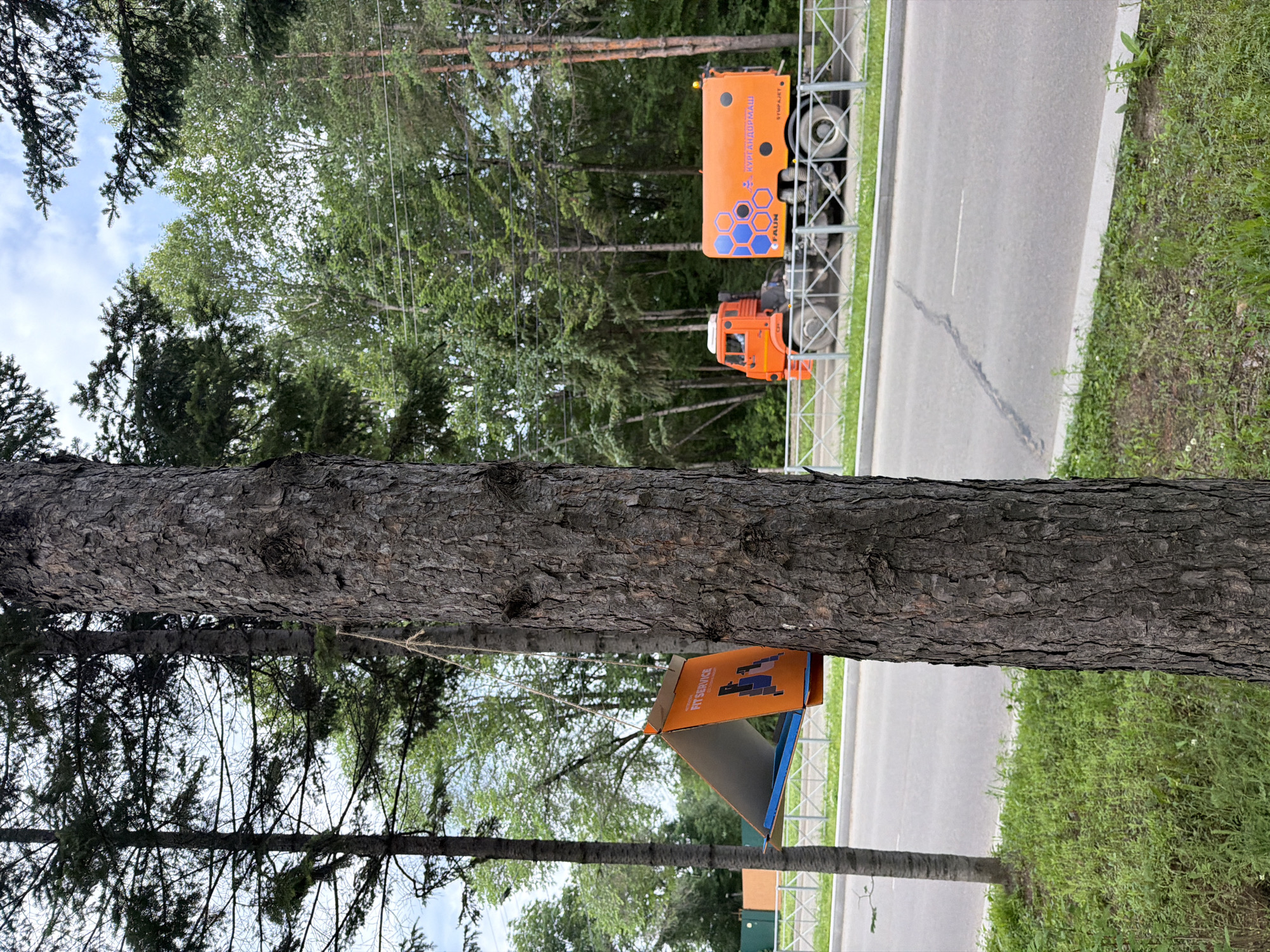 In Birobidzhan, Russia, a close-up view of a mature tree trunk dominates the foreground. To the left, a smaller, younger tree stands adjacent. Suspended from a string tied to the larger tree is a makeshift bird feeder, fashioned from an orange cardboard box with blue accents. The feeder is angled, revealing an advertisement or logo on its interior. Behind the trees, a metal fence runs parallel to a paved road. On the road, an orange truck with a large tank is visible. The truck is emblazoned with blue hexagonal patterns and text that appears to be in Cyrillic script, with "FAUN" also visible. The environment suggests an outdoor setting with ample greenery and a cloudy sky overhead.